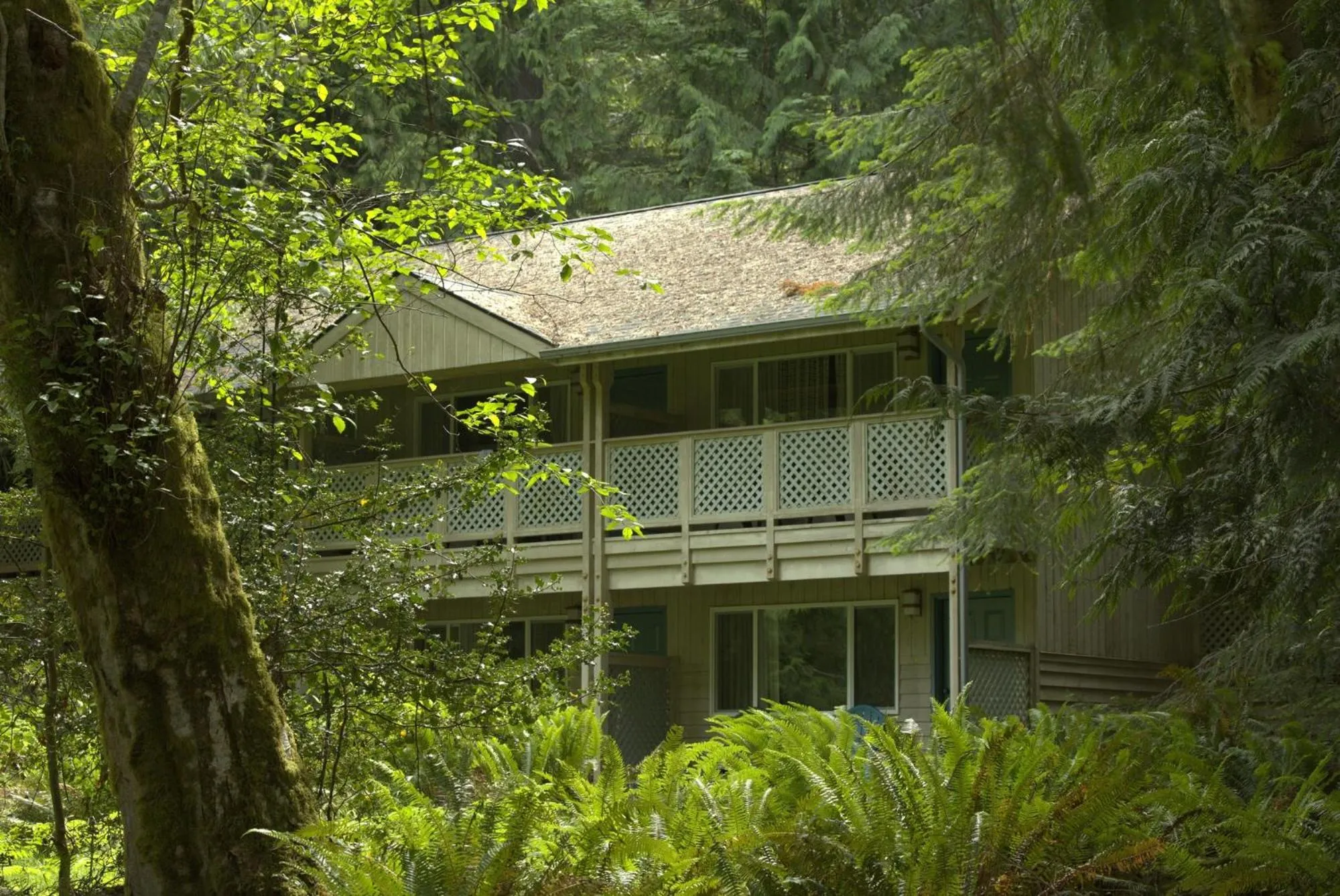 Lake Crescent Lodge