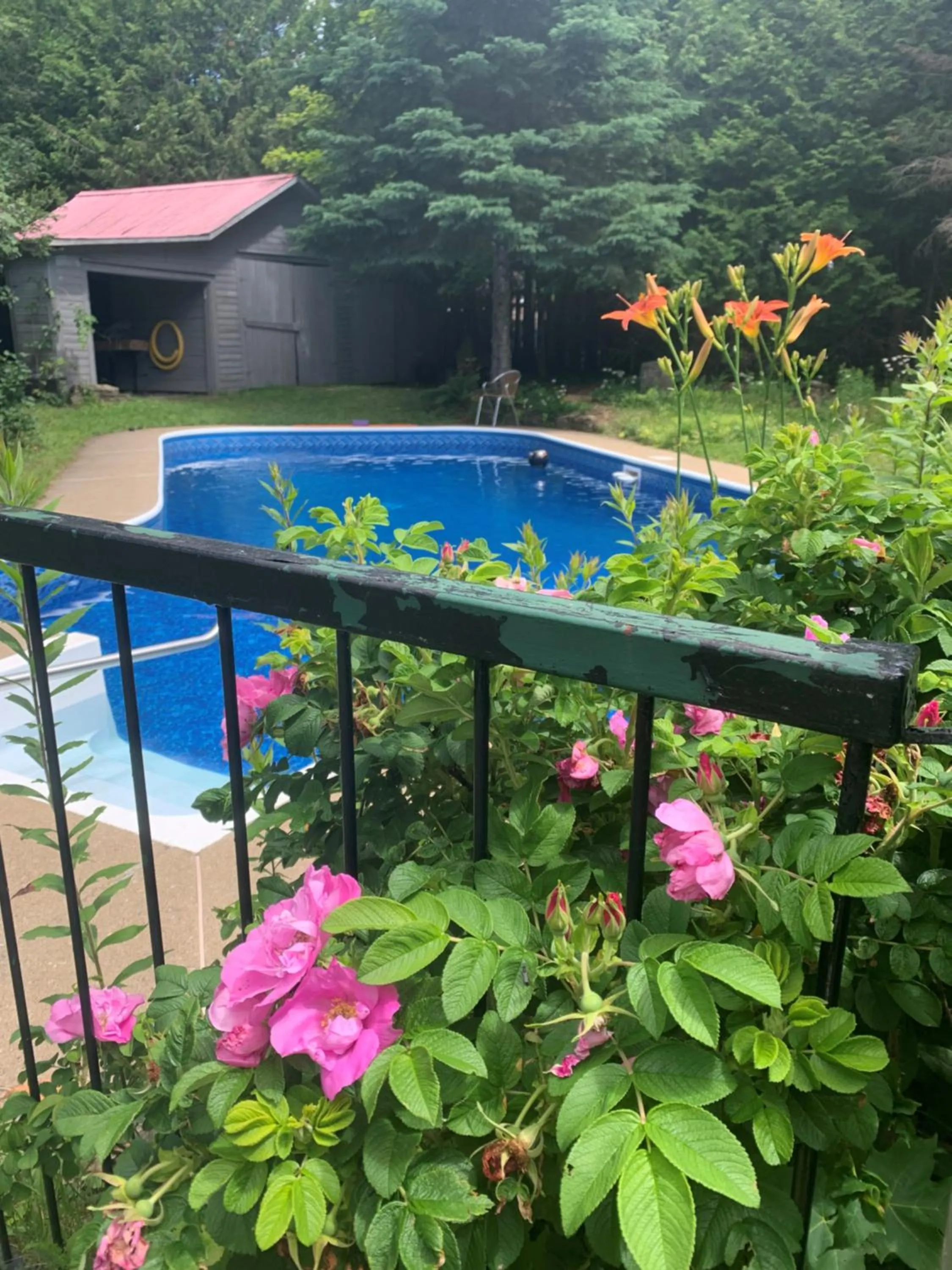 Swimming pool in Auberge Clos-Joli