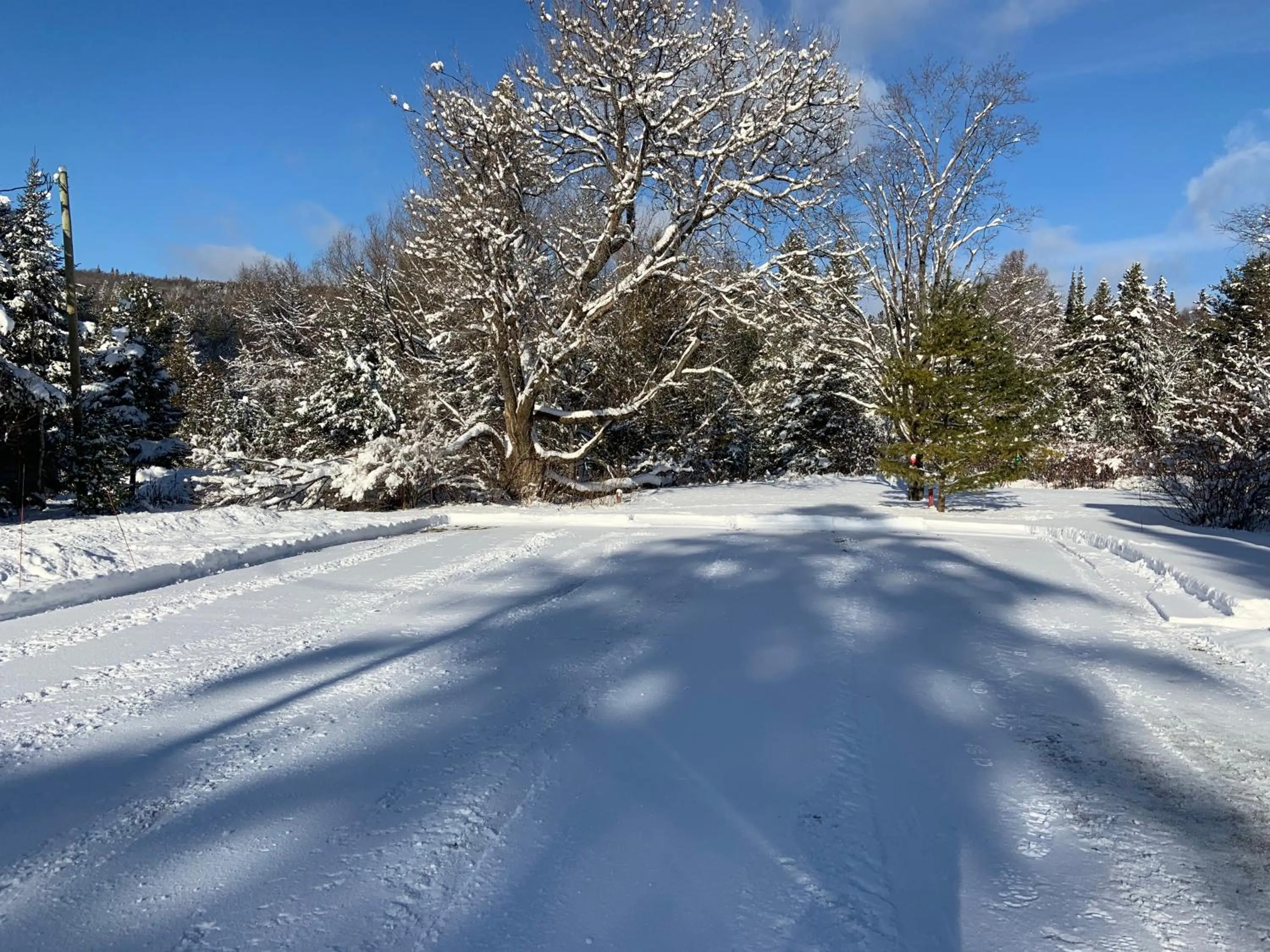 Garden in Auberge Clos-Joli