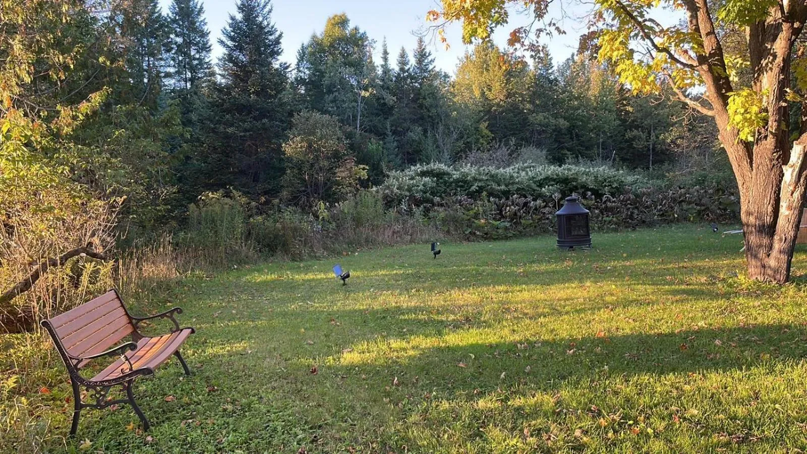 BBQ facilities in Auberge Clos-Joli