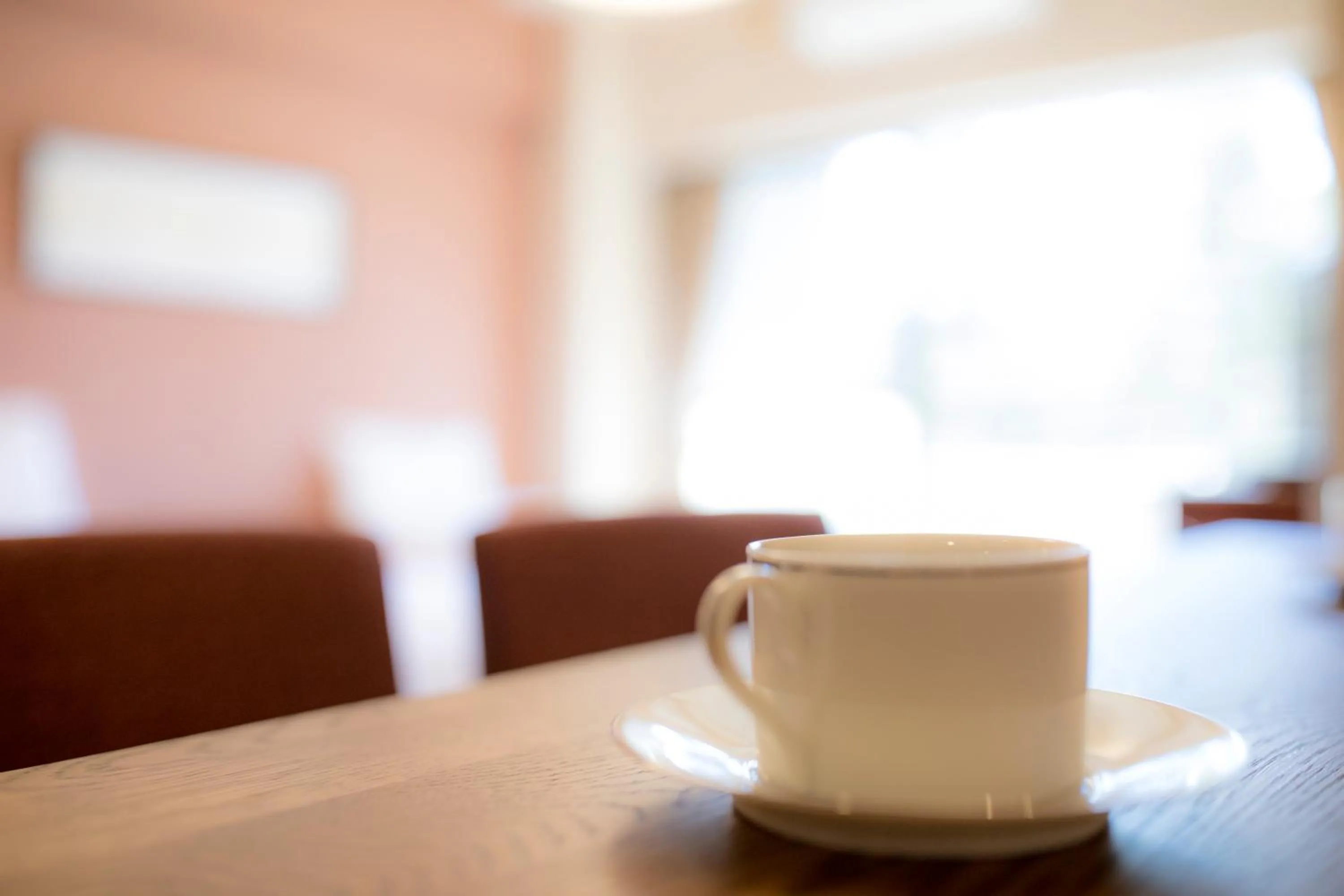 Day in Sundance Resort Kawaguchiko