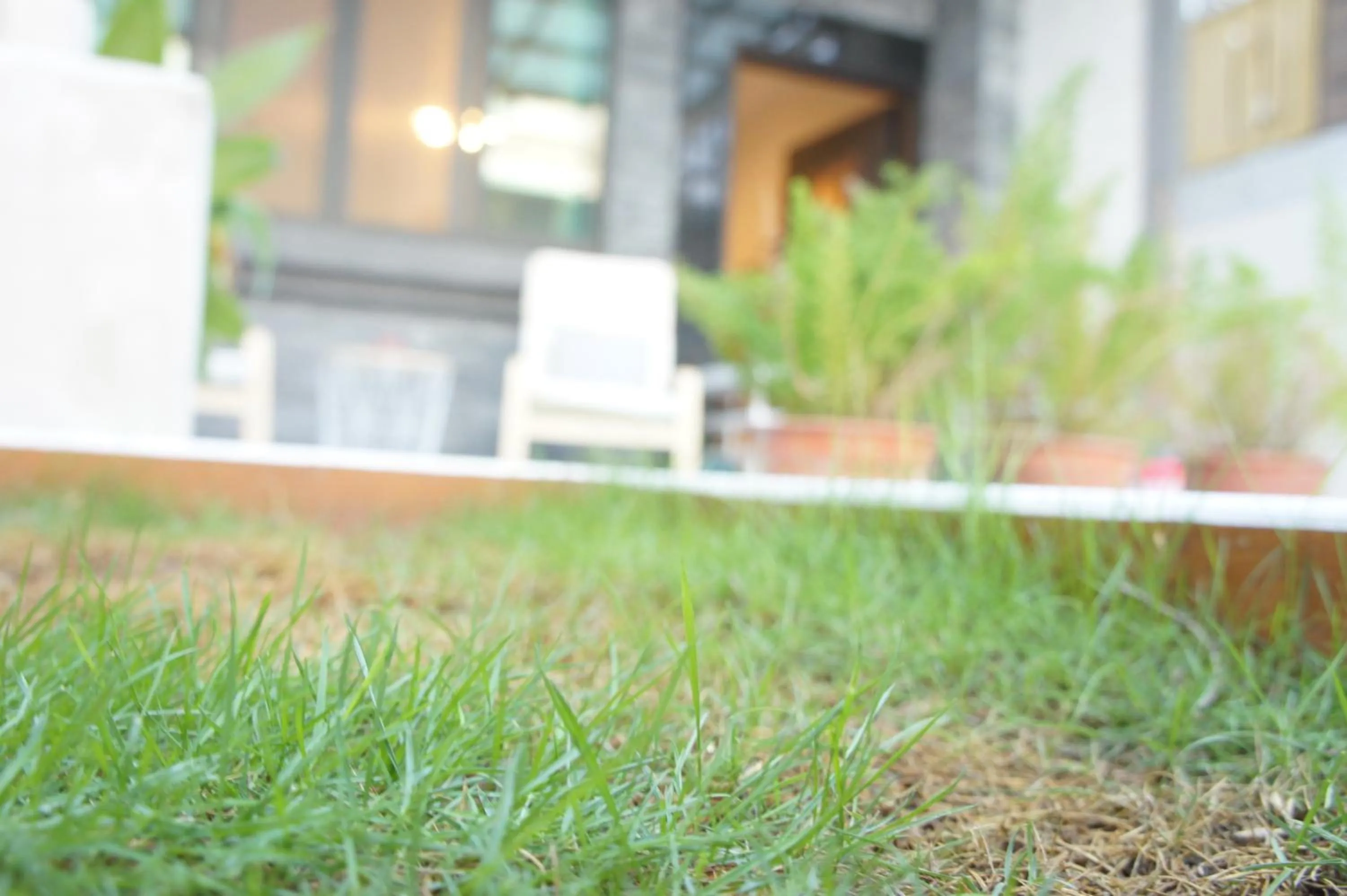 Garden in Kenting Dio Inn