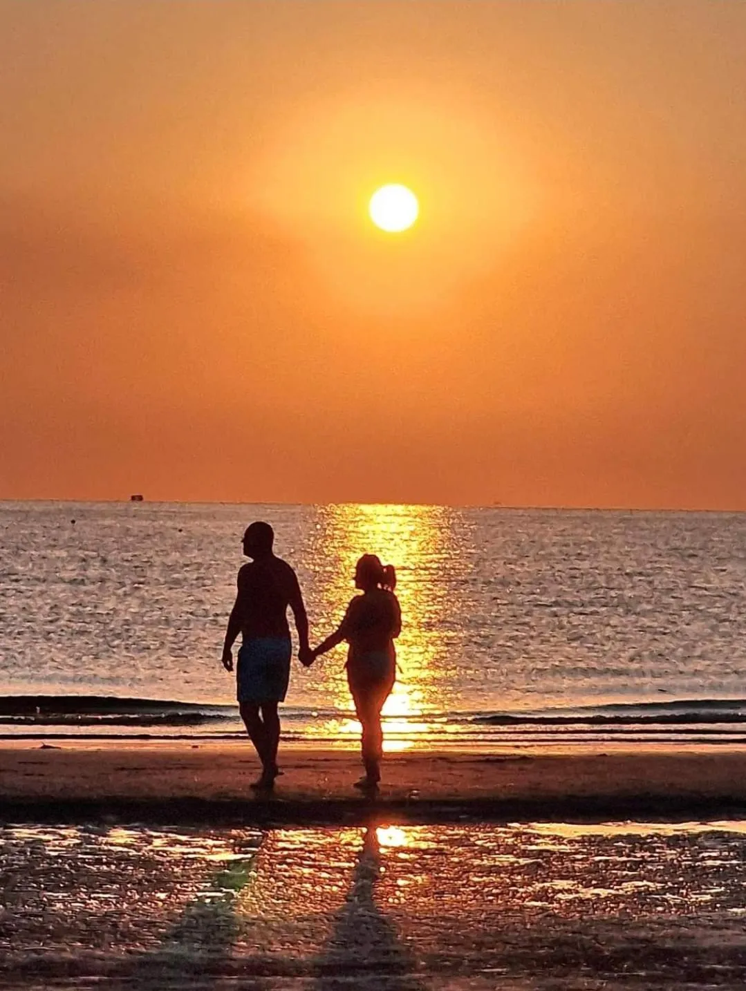 Beach in Beach Hotel Clerice