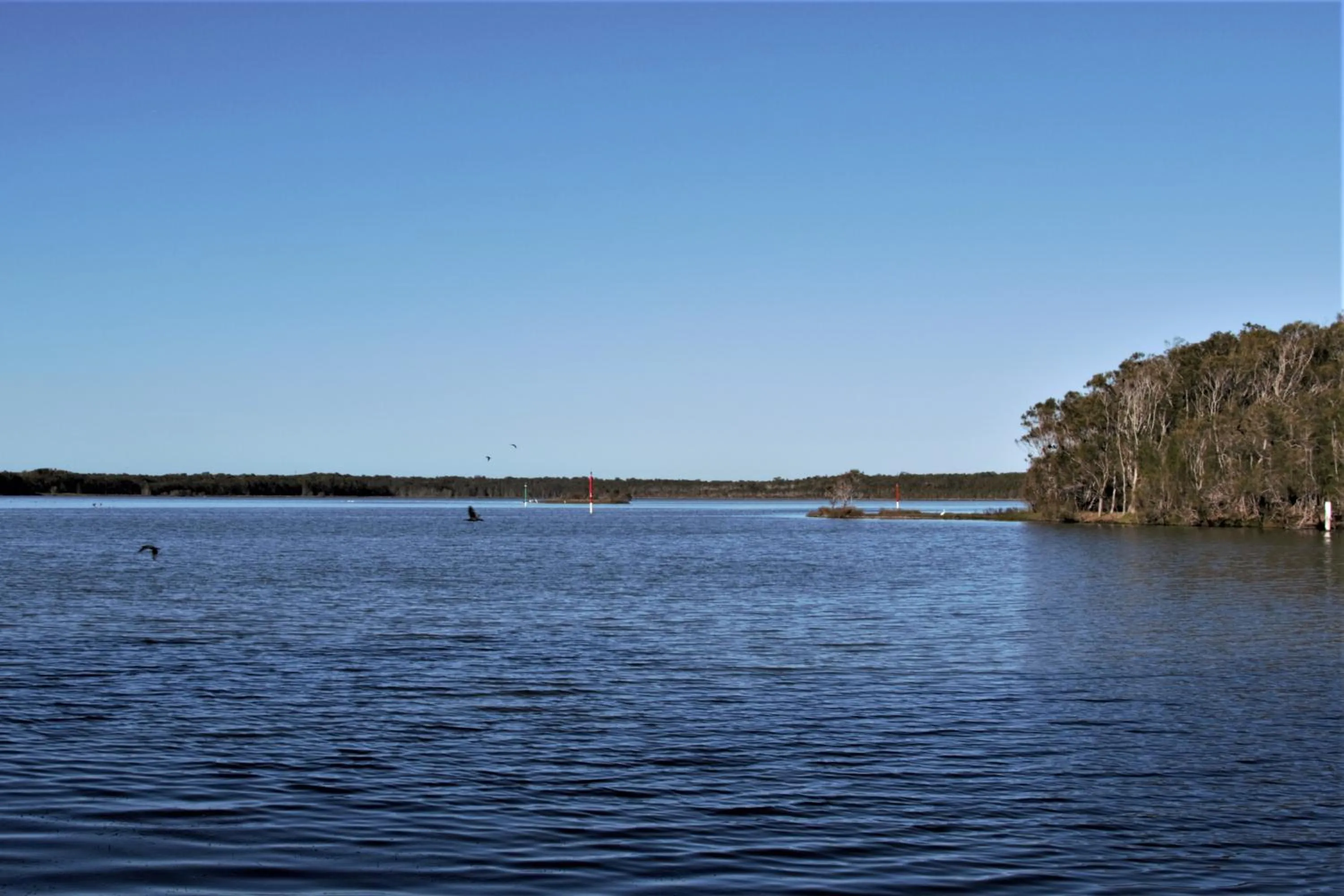Natural landscape in Hibiscus Lakeside Motel