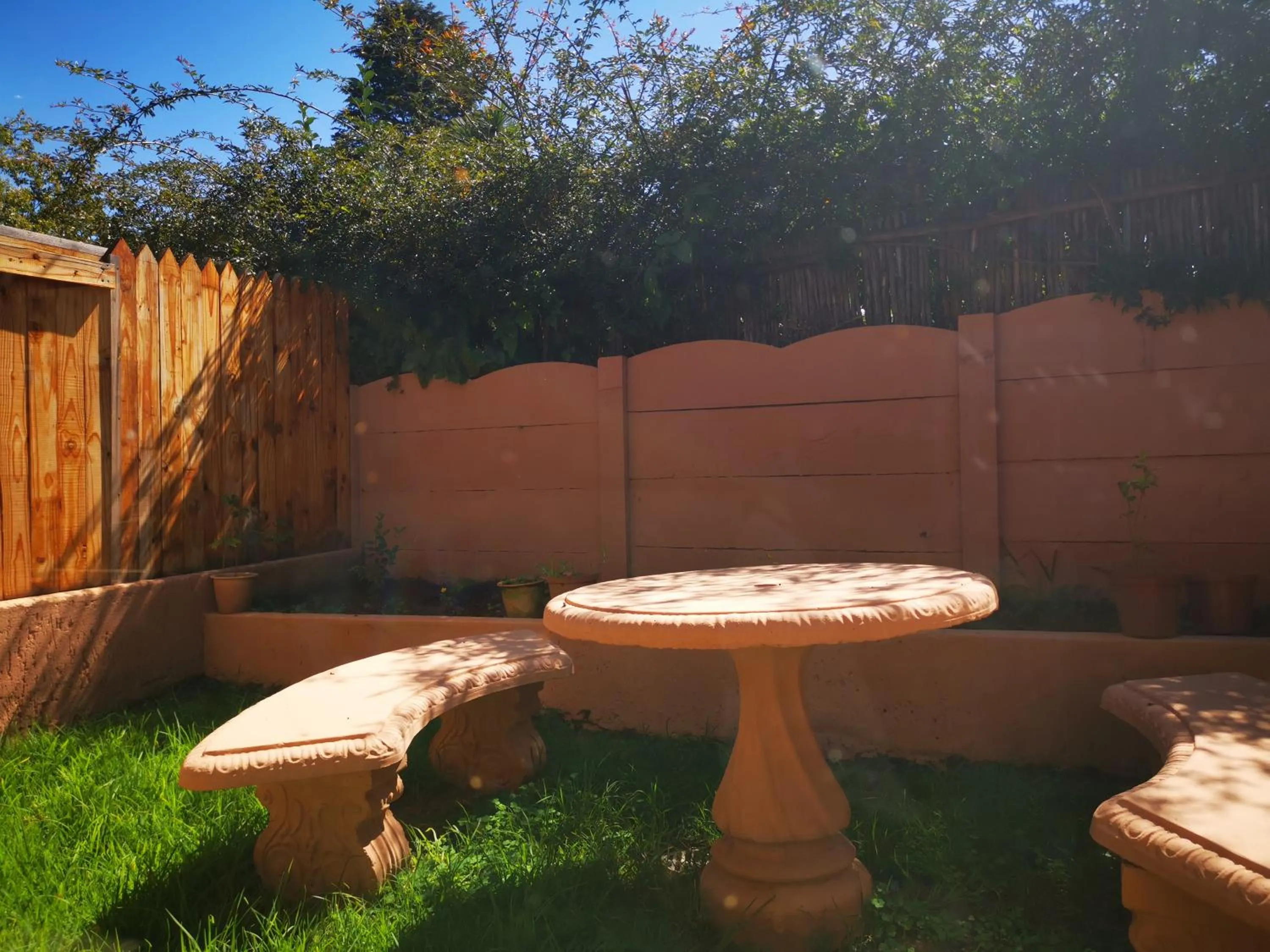 Garden in The Green Olive Guesthouse