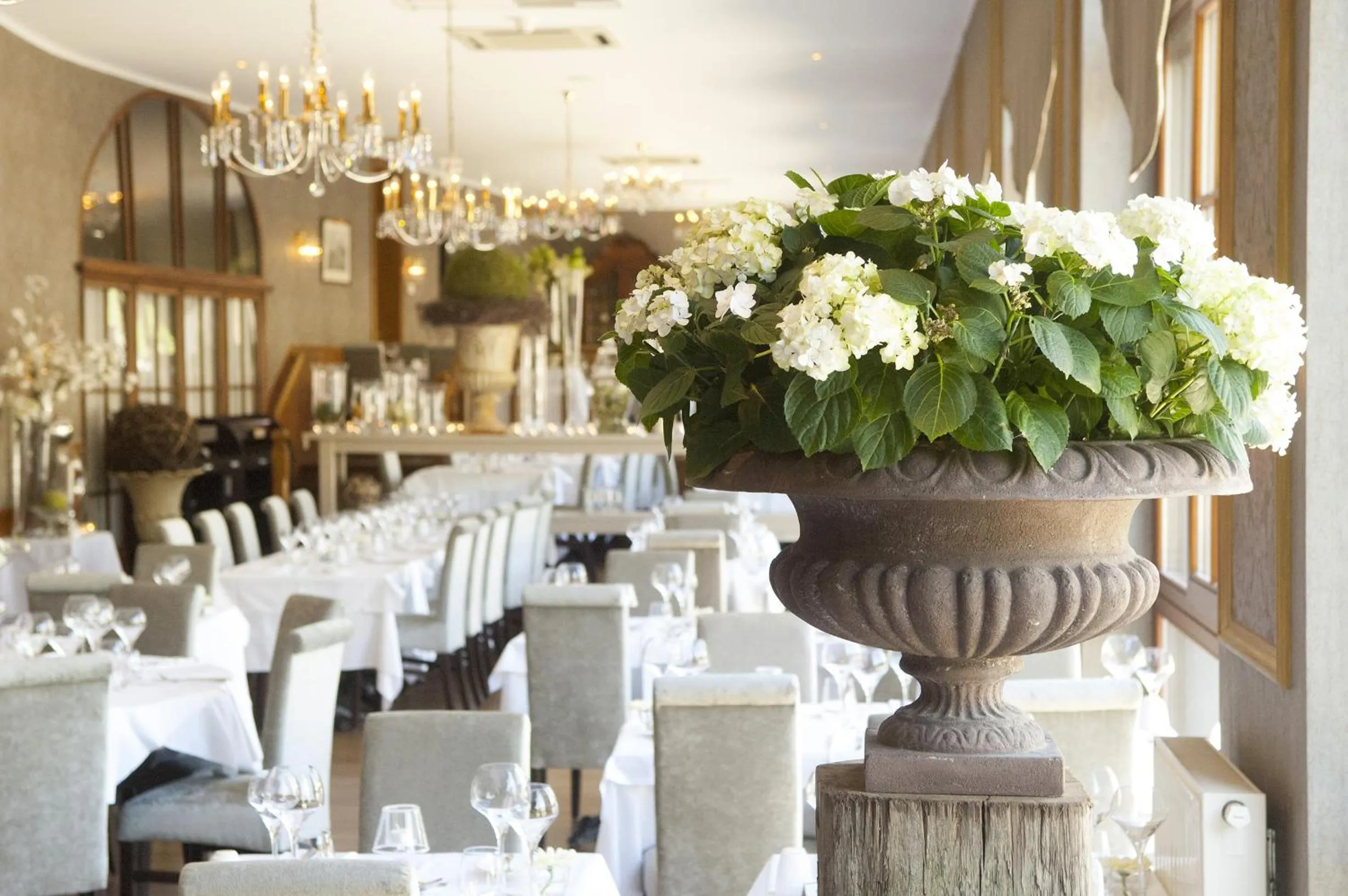 Restaurant/places to eat in Hotel de la Poste - Relais de Napoleon III