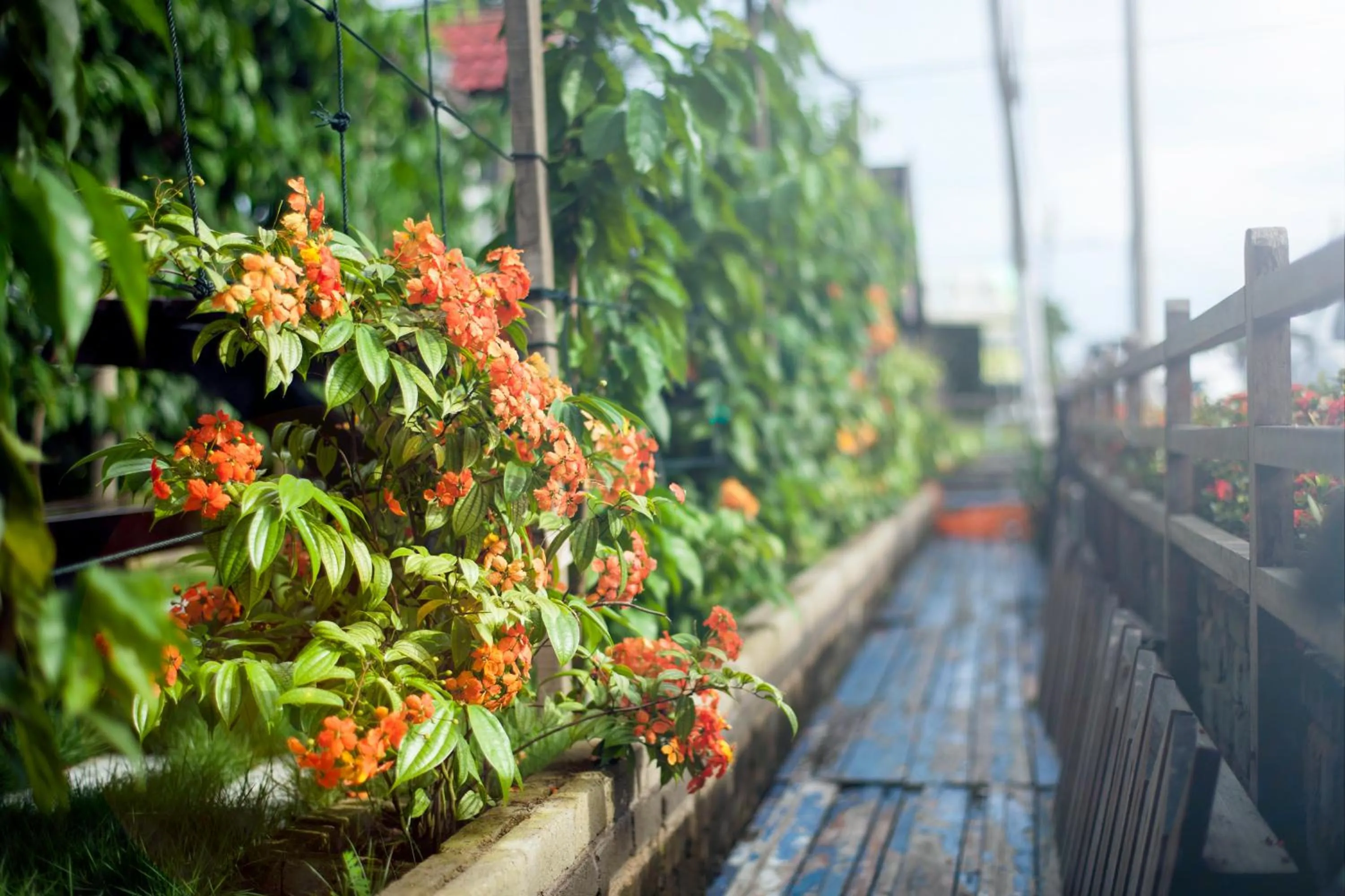 Facade/entrance in House Of My Eternal Love - Kulai Homestay