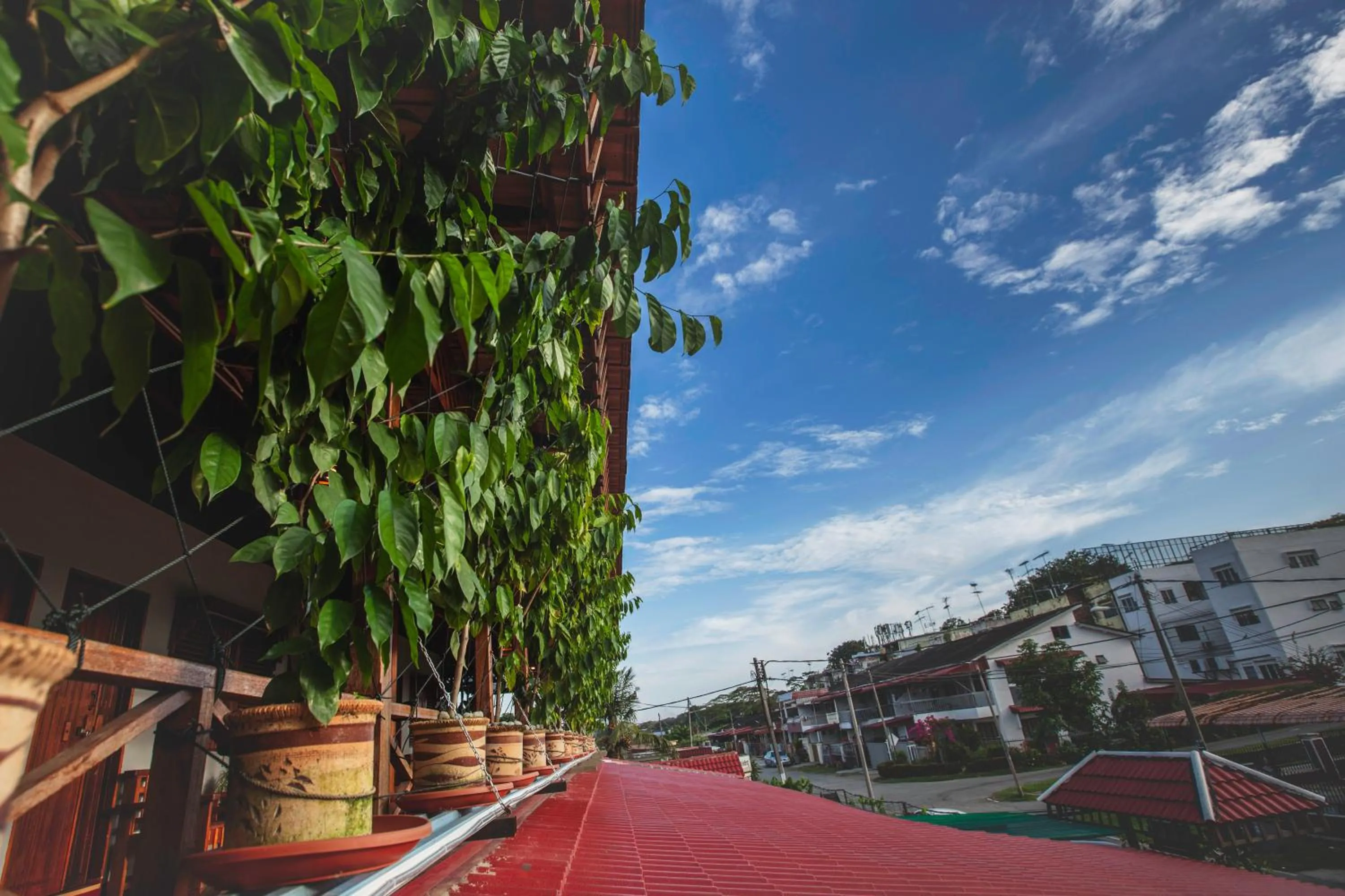Balcony/Terrace in House Of My Eternal Love - Kulai Homestay