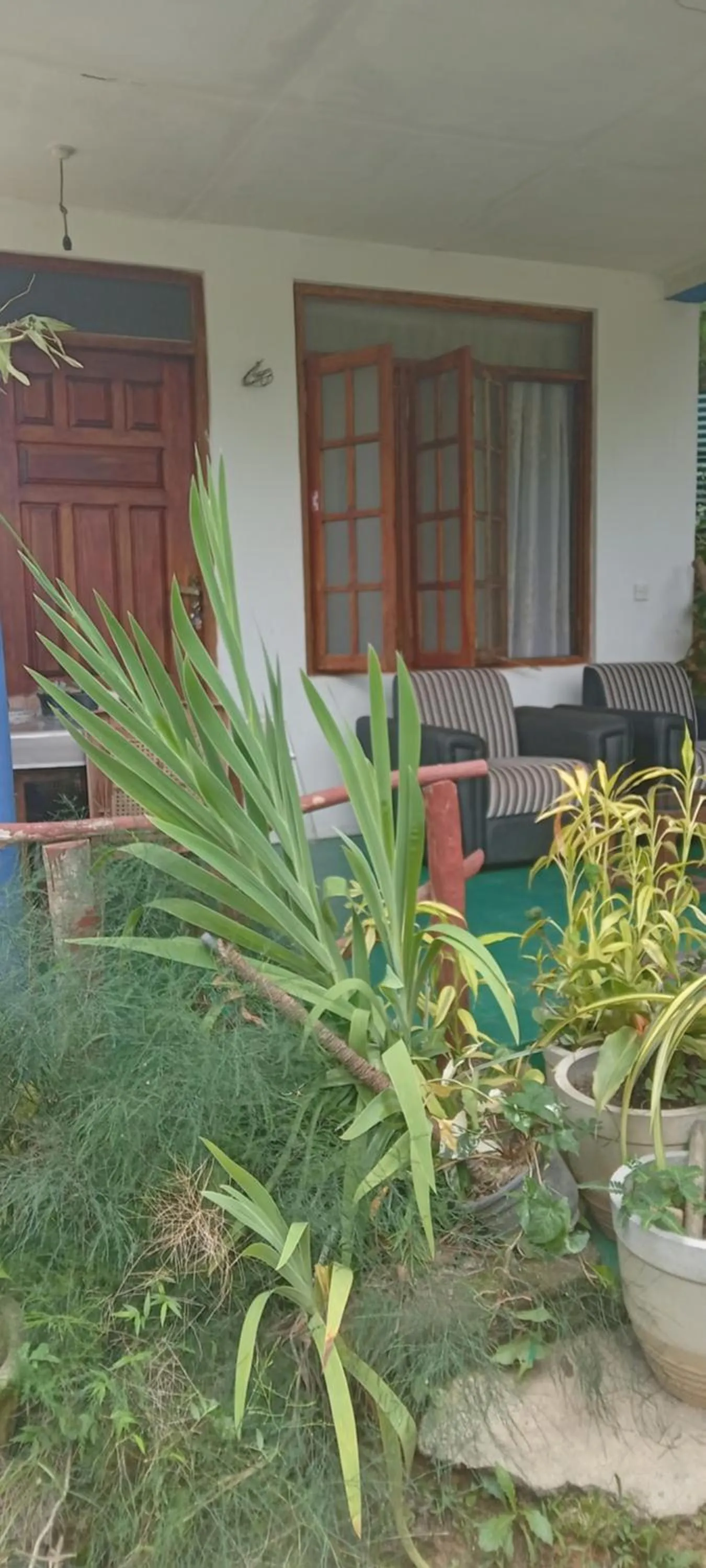 The Horizon Root Inn