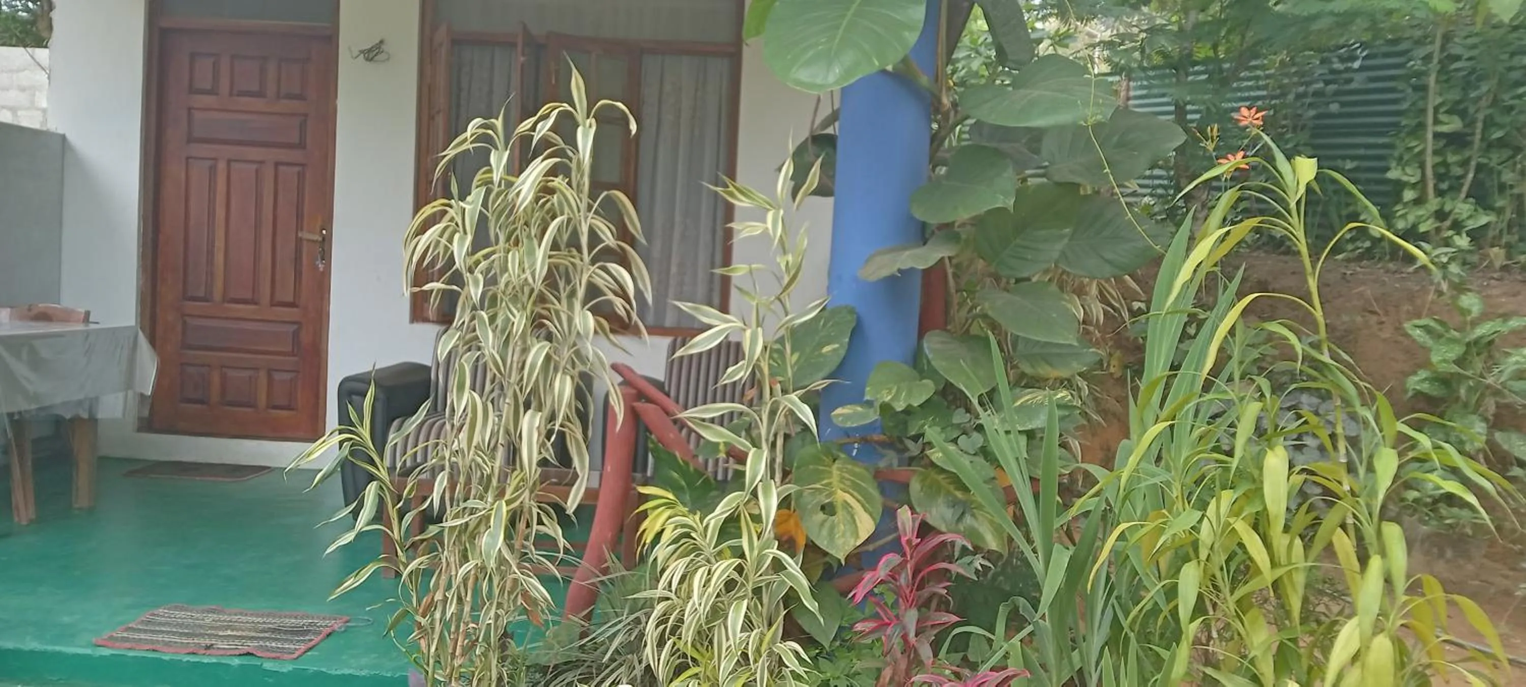 The Horizon Root Inn