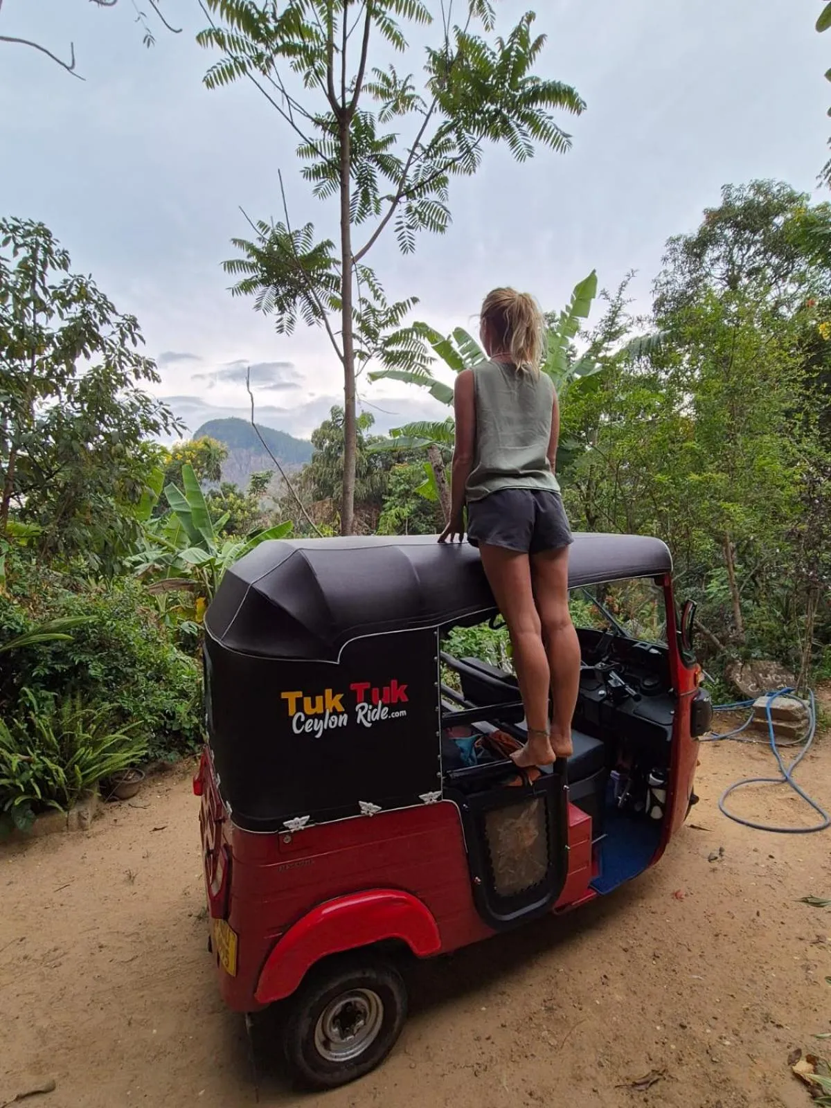 The Horizon Root Inn