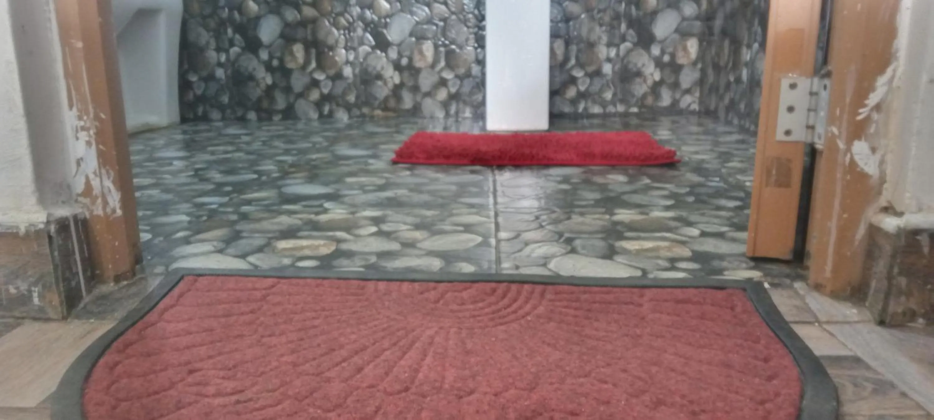 Bed in The Horizon Root Inn