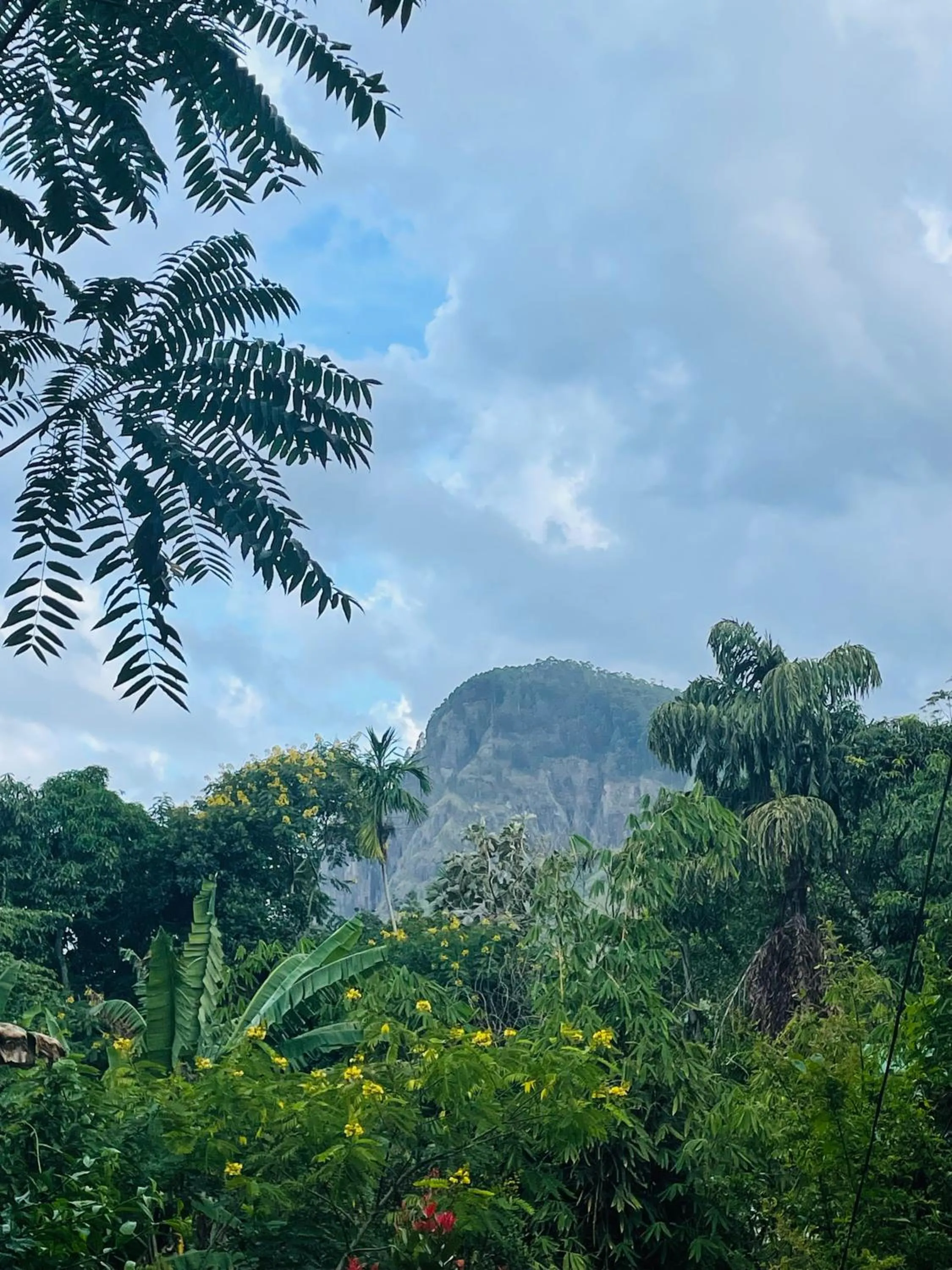 The Horizon Root Inn