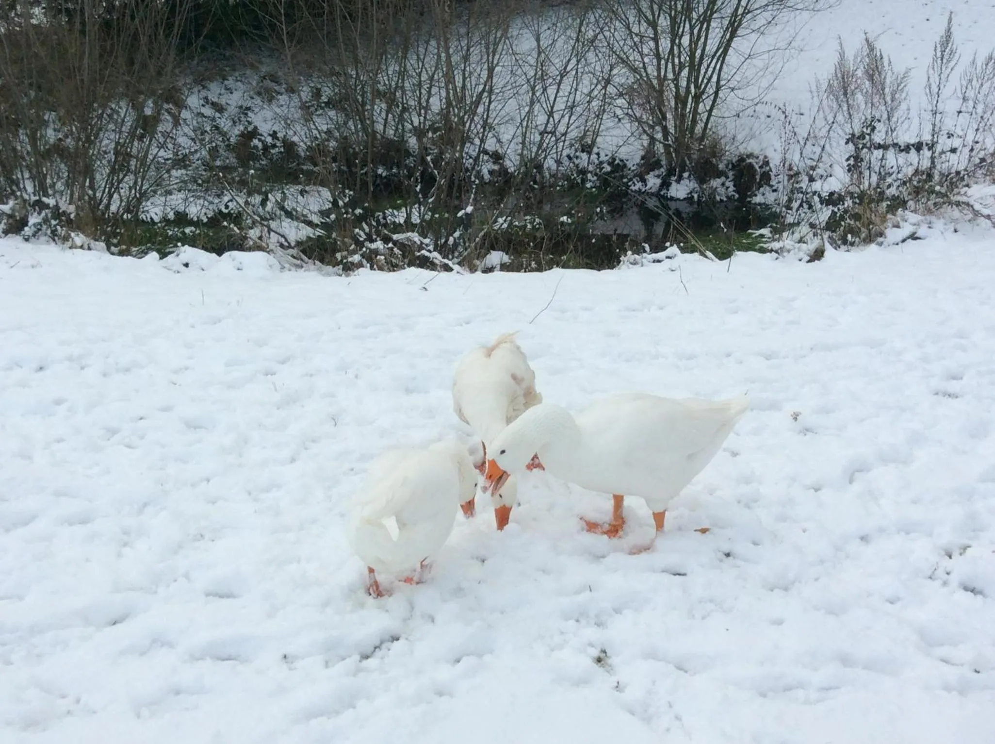 Other in Relais des Chaux