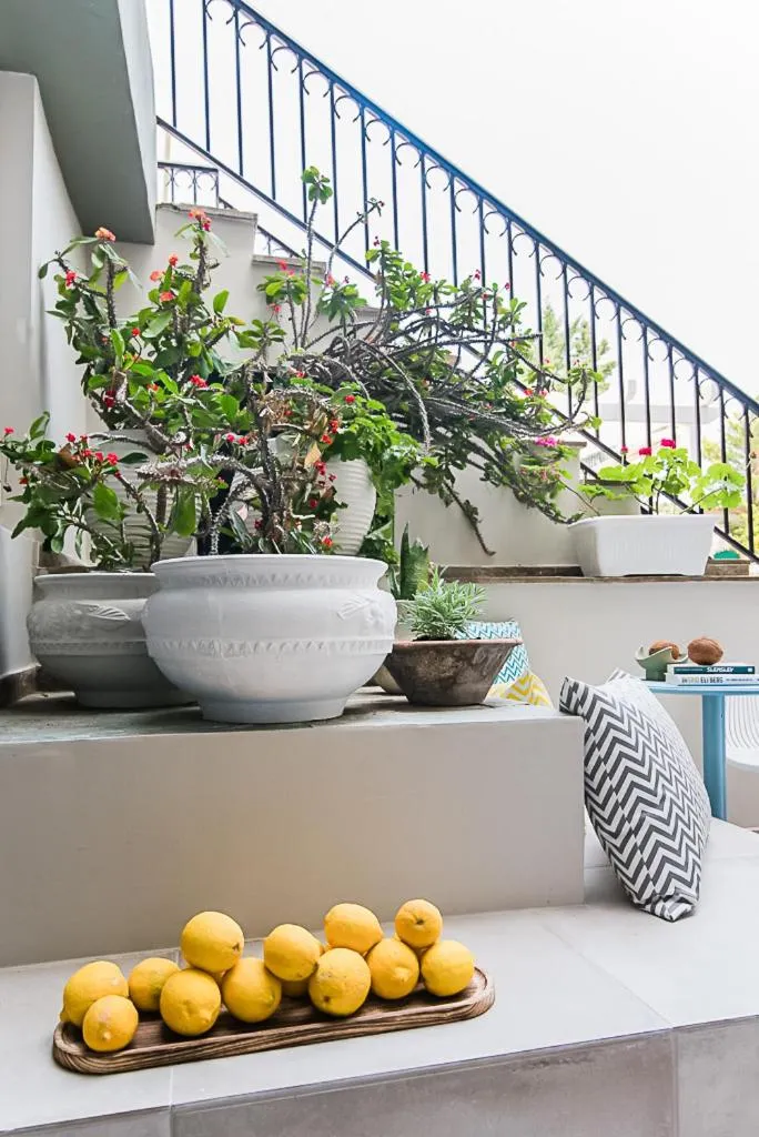 Balcony/Terrace in Sunshine Boutique Hotel by Estia