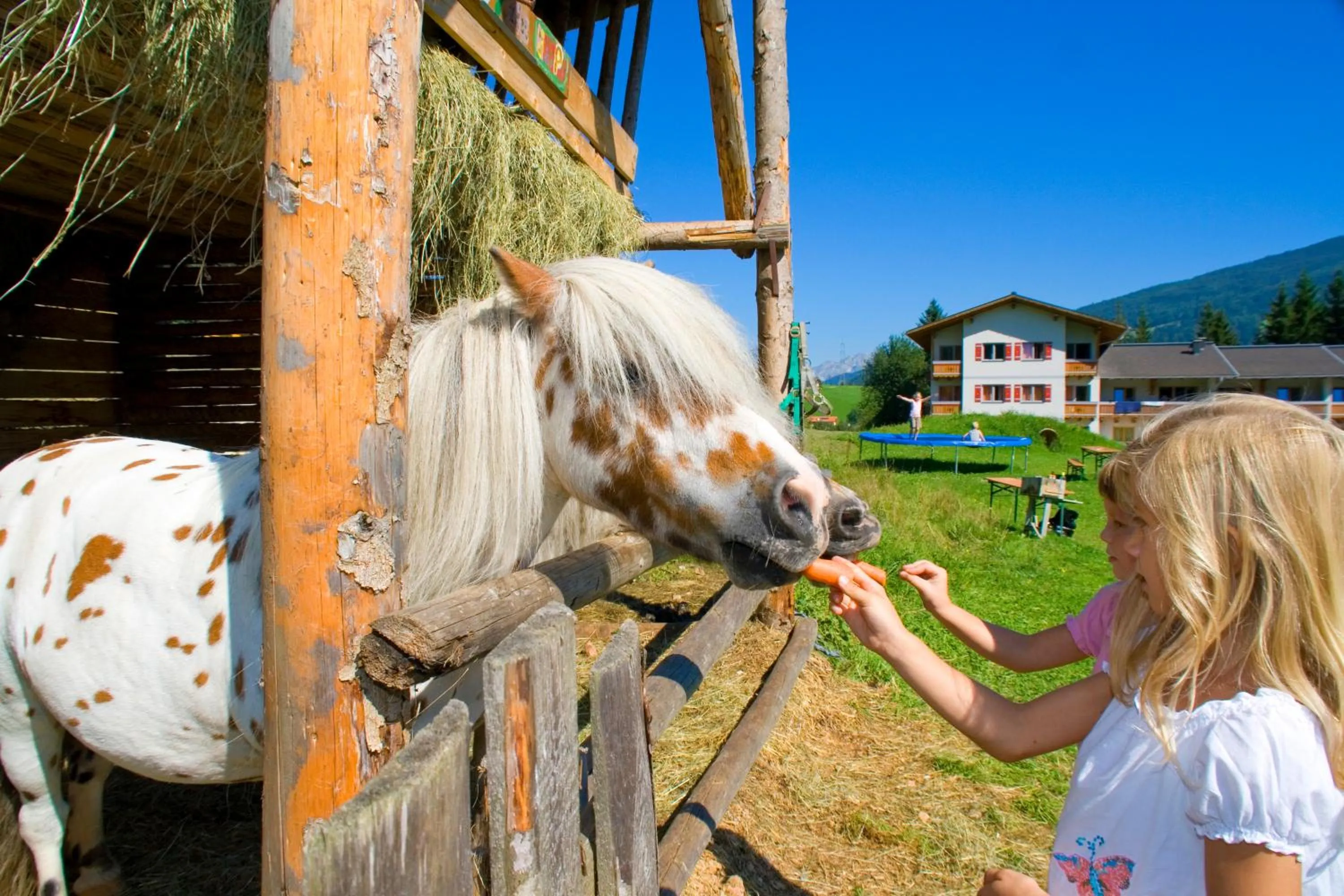 Appartmentanlage Isegrim
