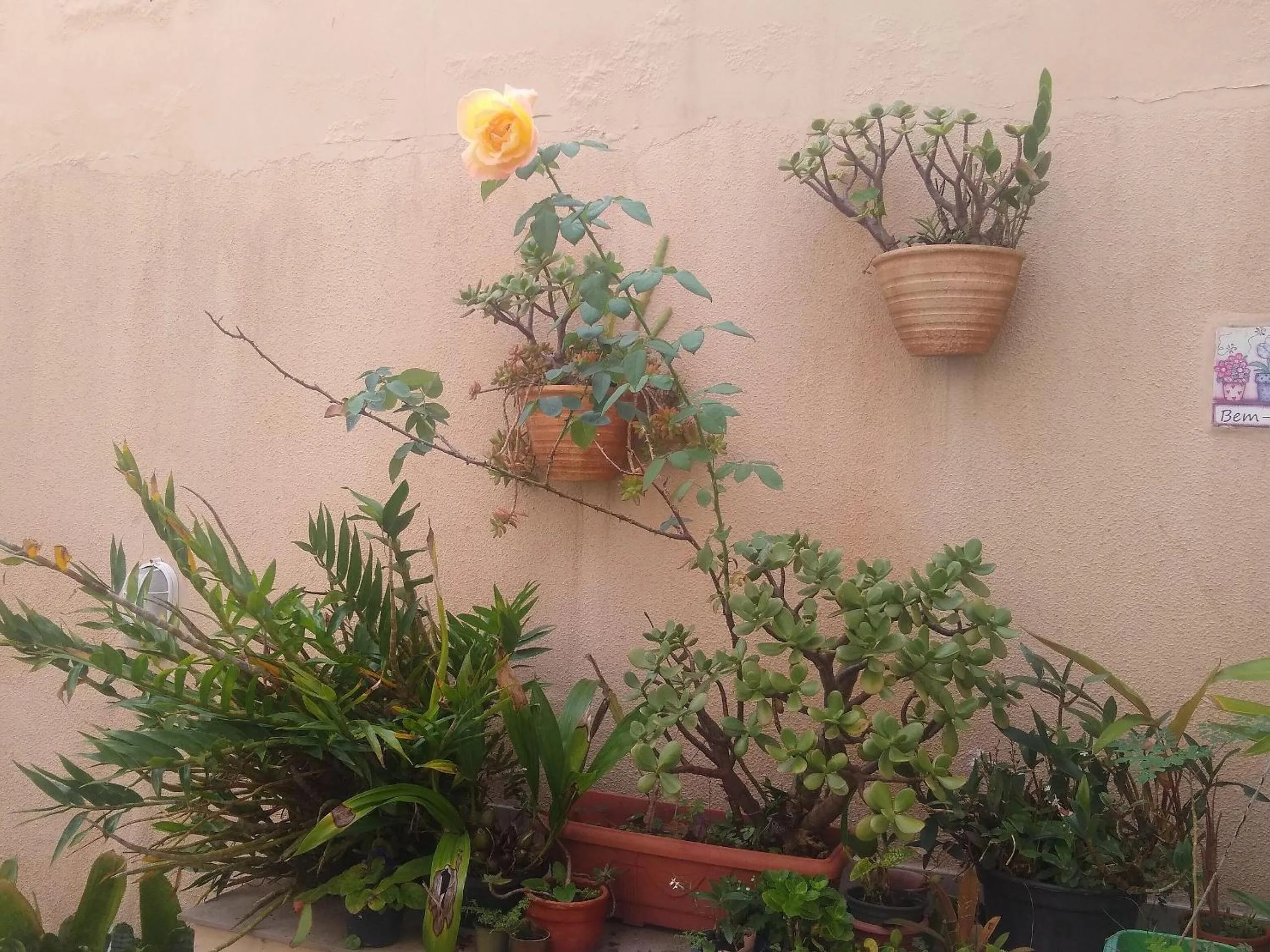 Patio in Studio Morro das Pedras