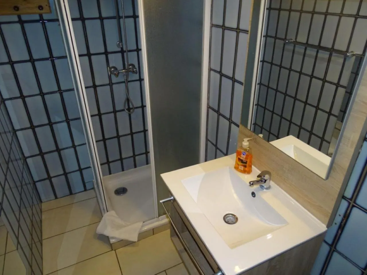 Shower in Condo Gardens Leuven