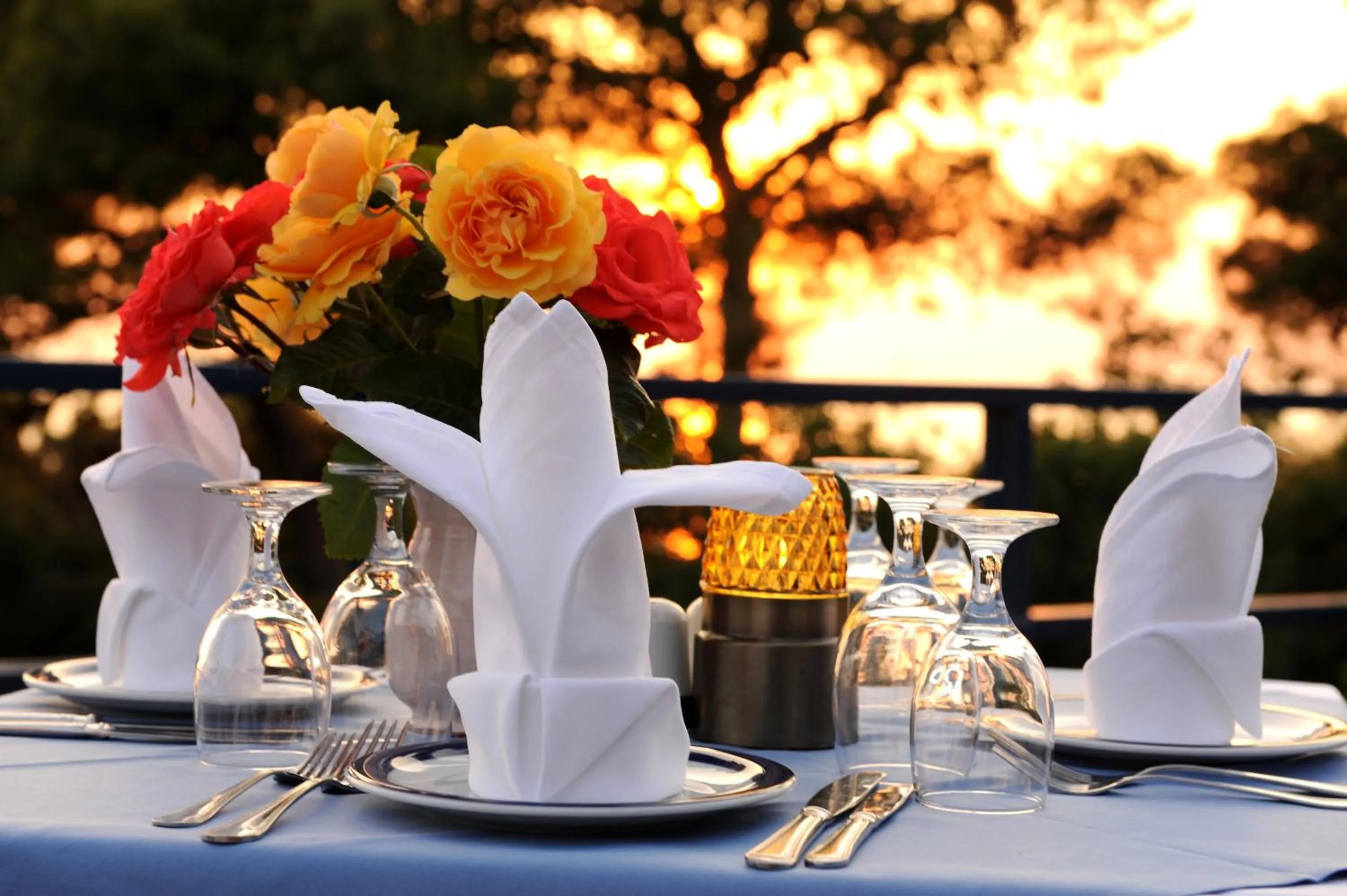 Summer in Delfinia Hotel & Bungalows