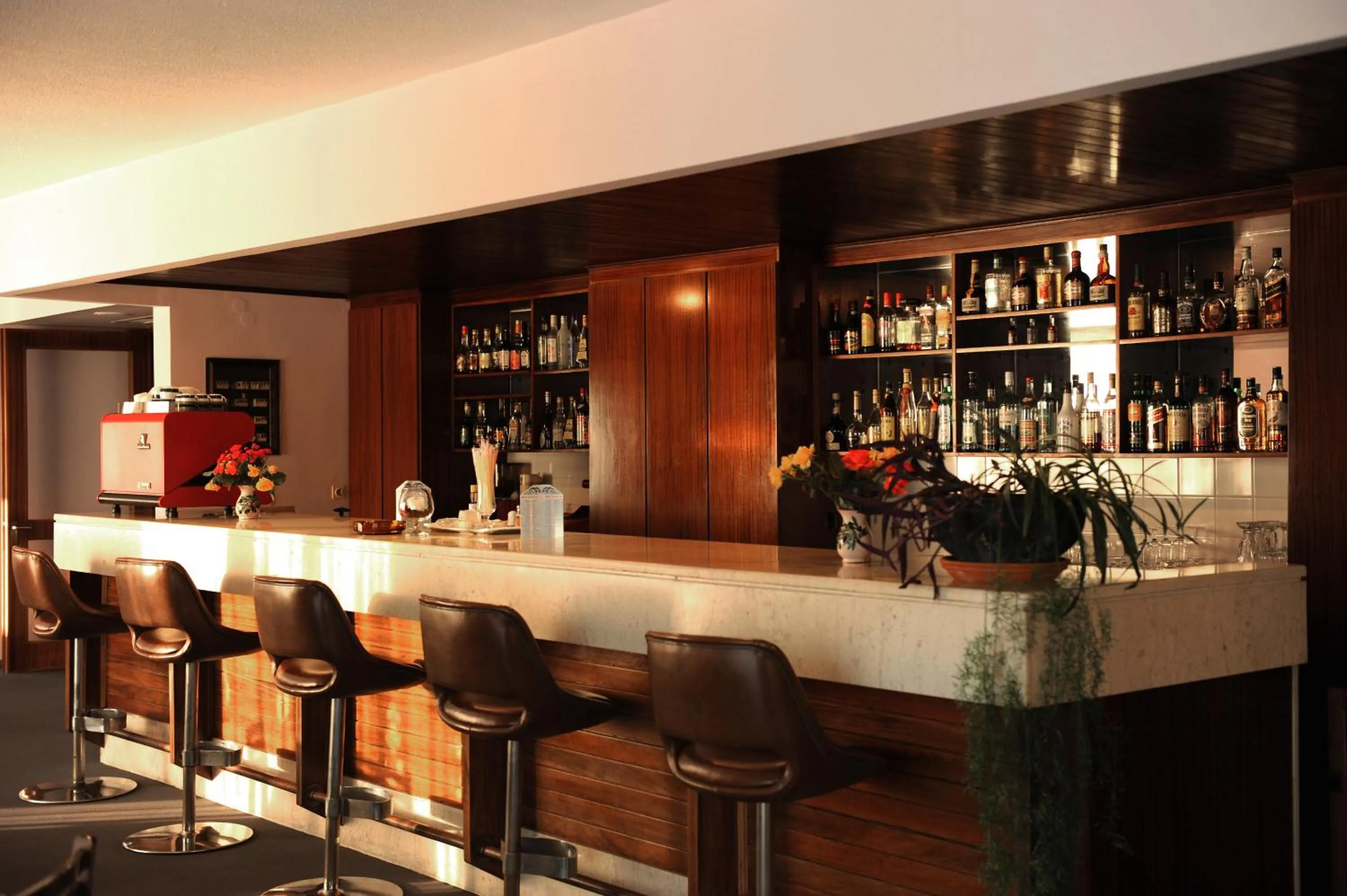 Lounge or bar in Delfinia Hotel & Bungalows