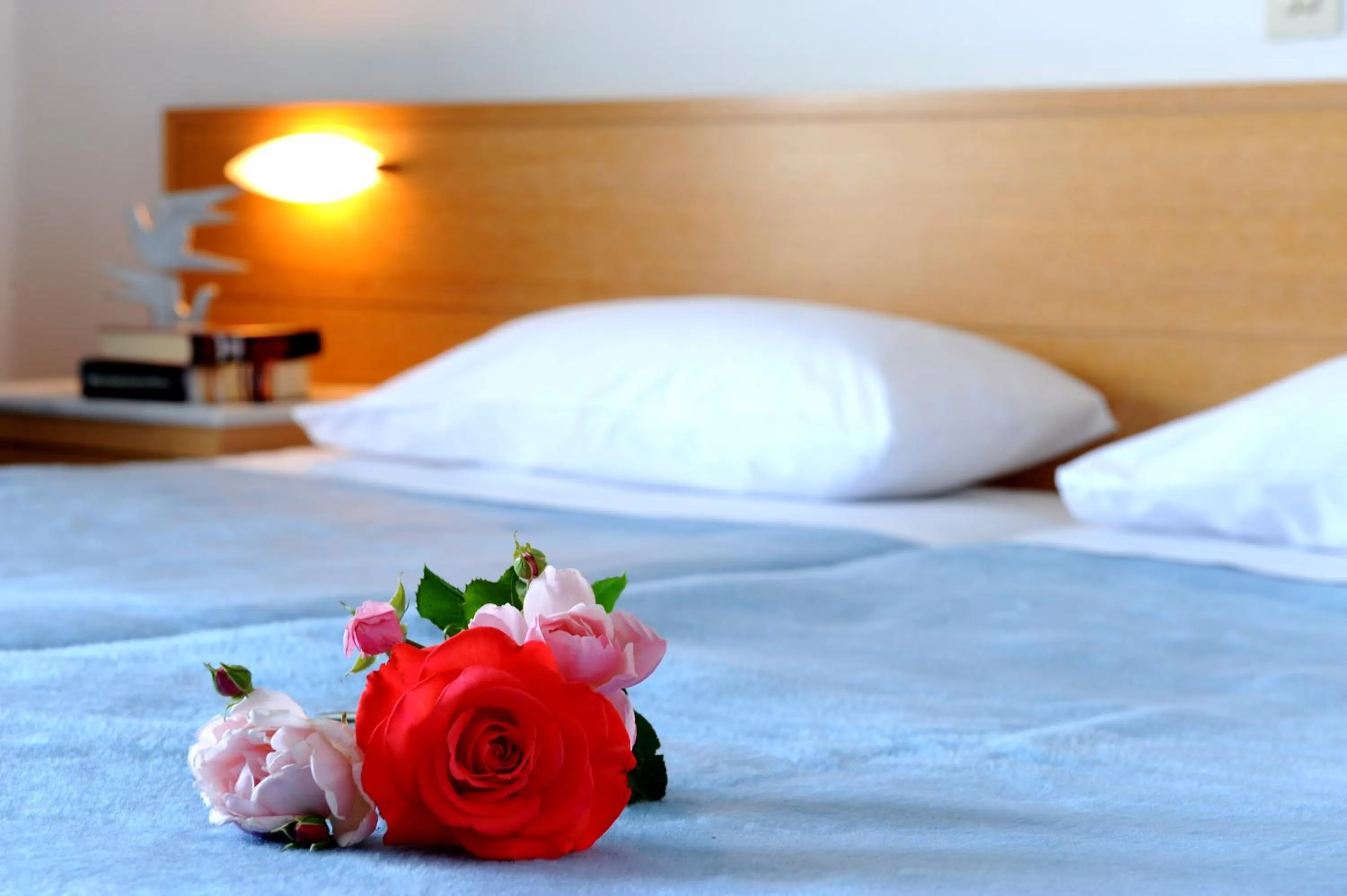 Decorative detail in Delfinia Hotel & Bungalows