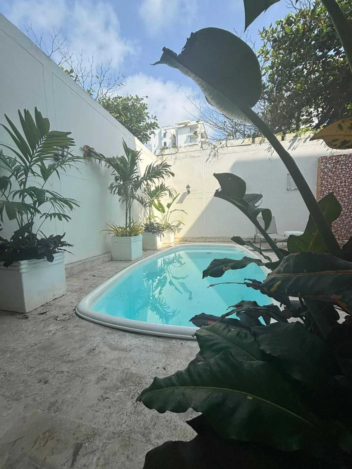 Garden in Hotel Isla Capri