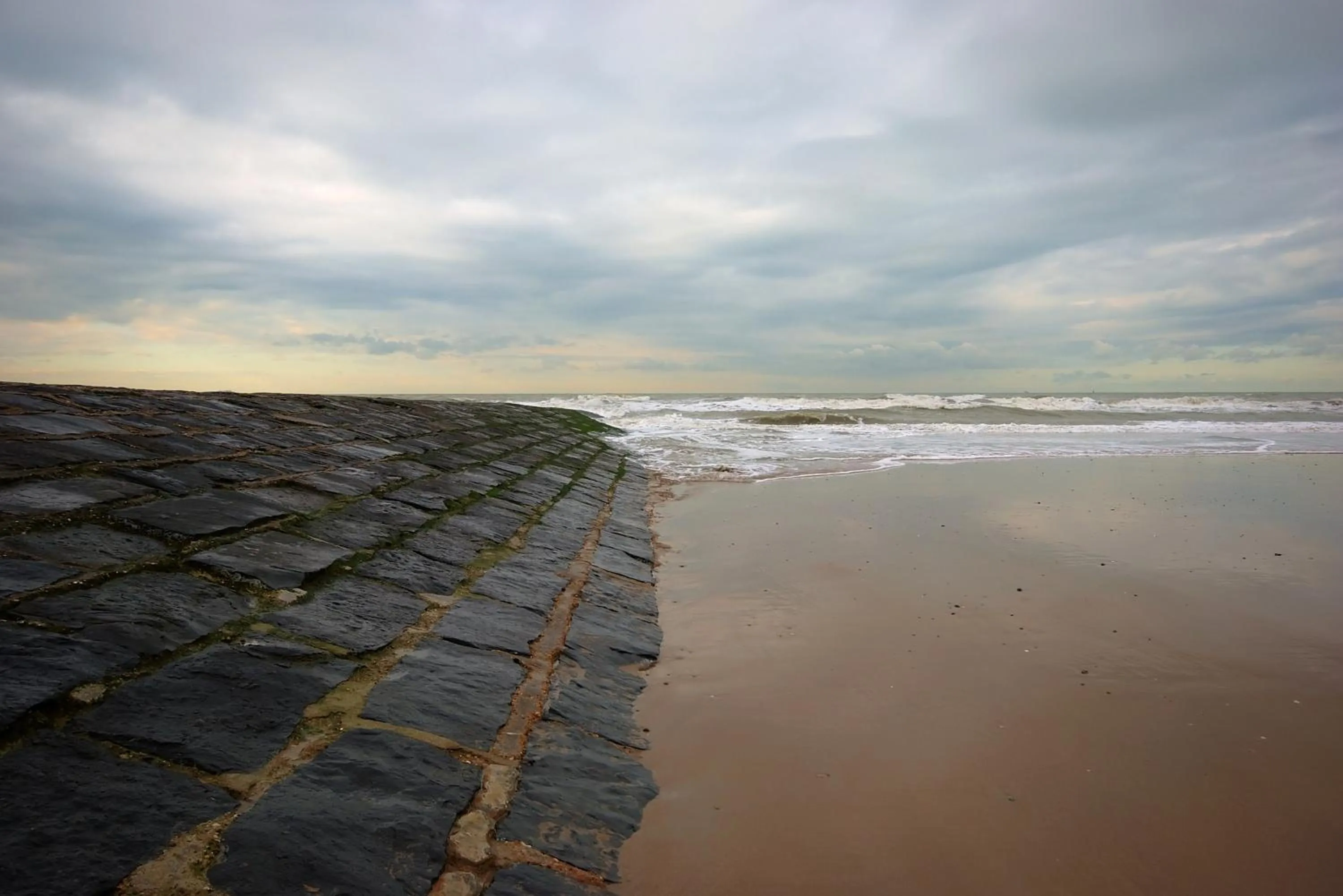 Area and facilities in Hotel Princess