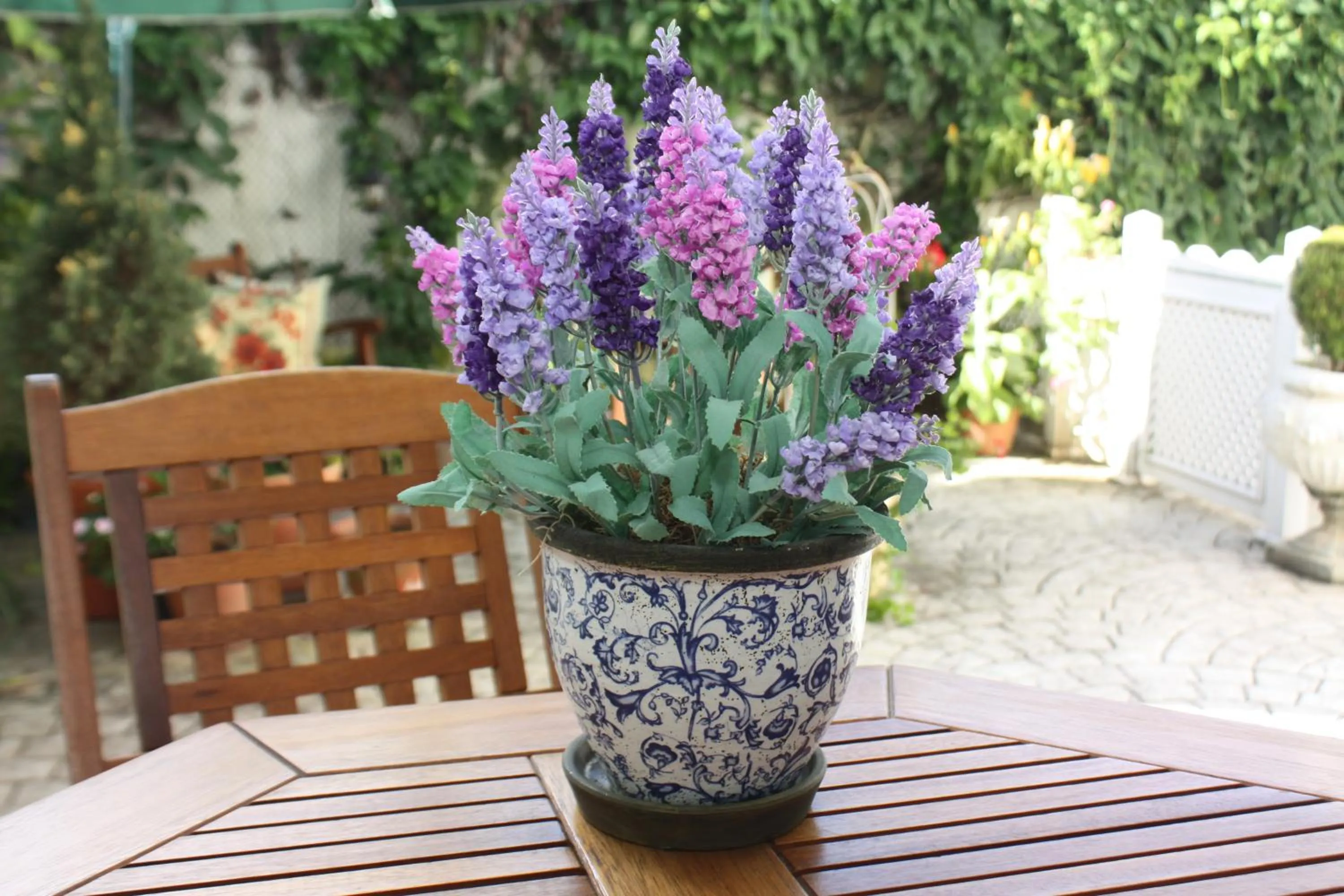 Garden in Villa Germânia