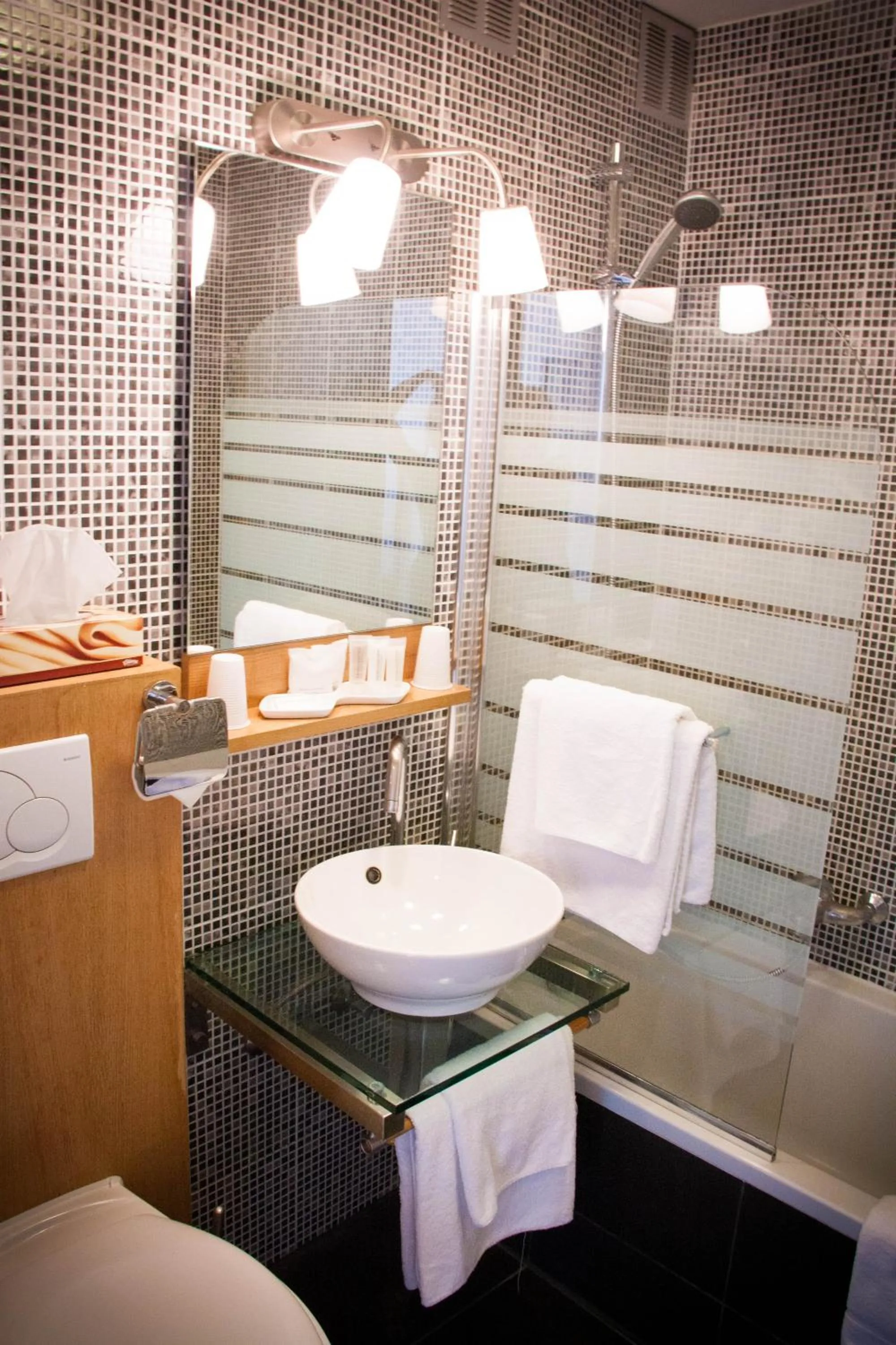 Bathroom in Hotel Carlton