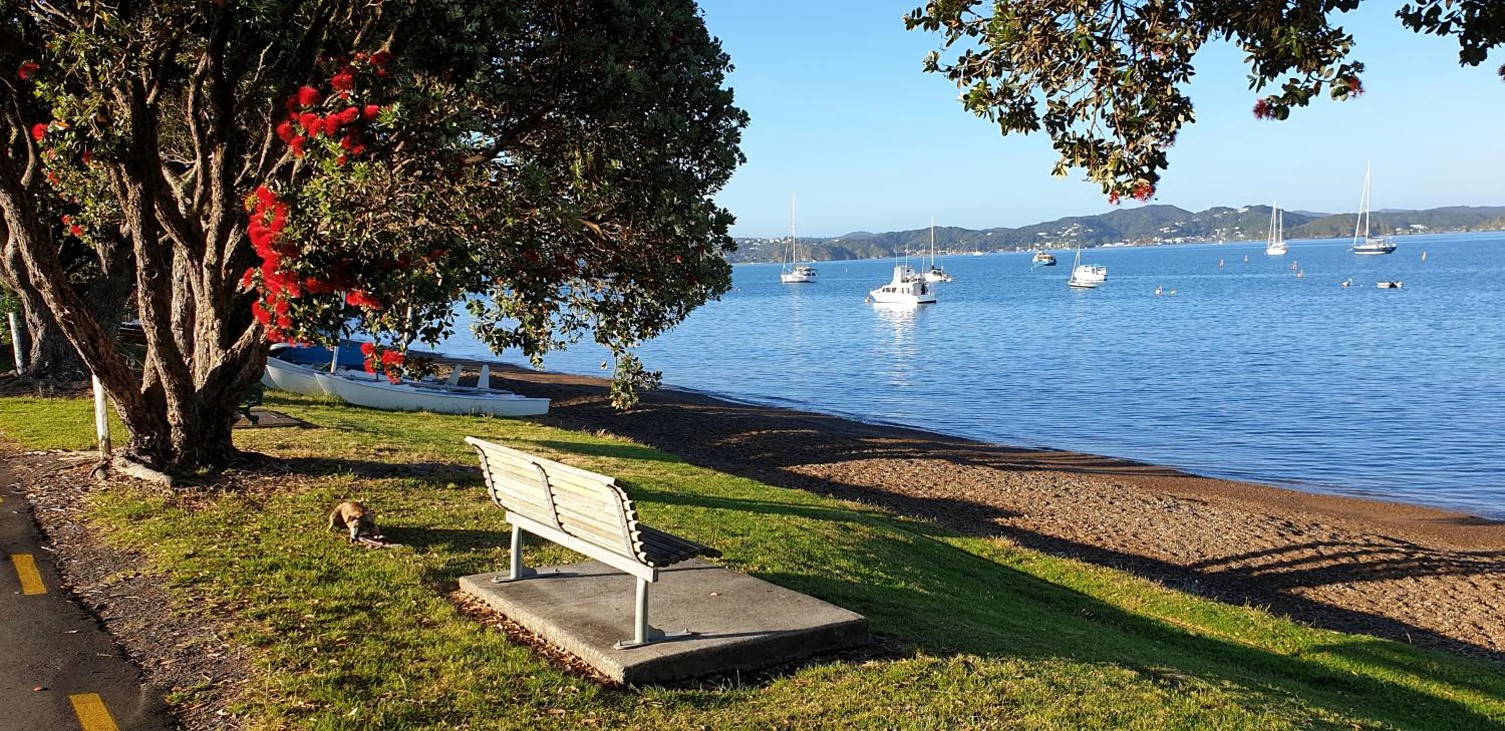 Natural landscape in Seaport Village