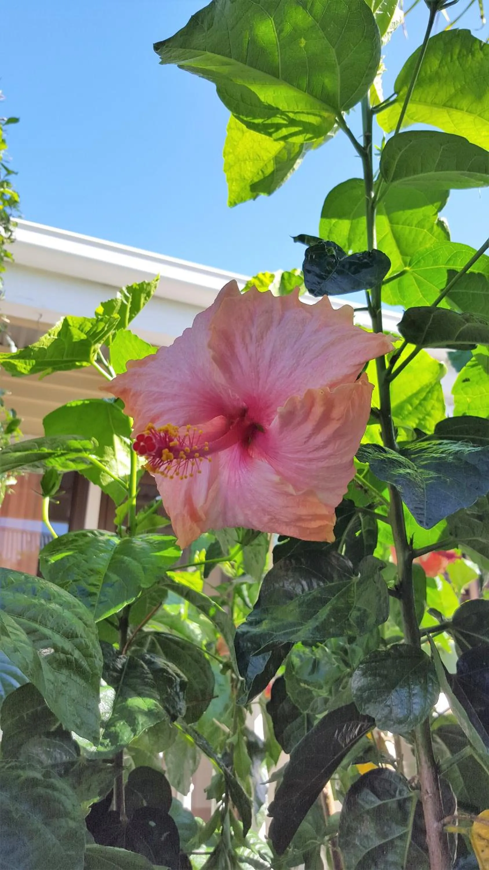 Property building in Seaport Village
