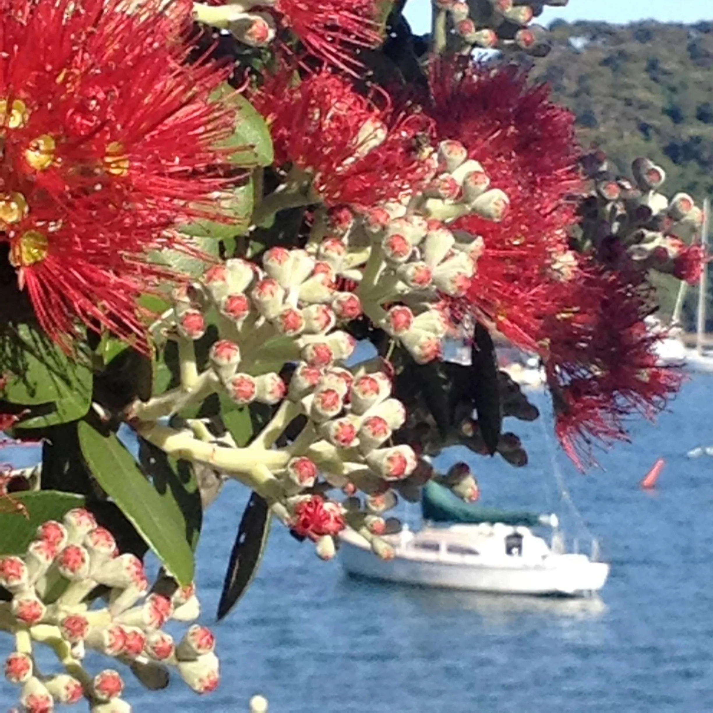 Property building in Seaport Village