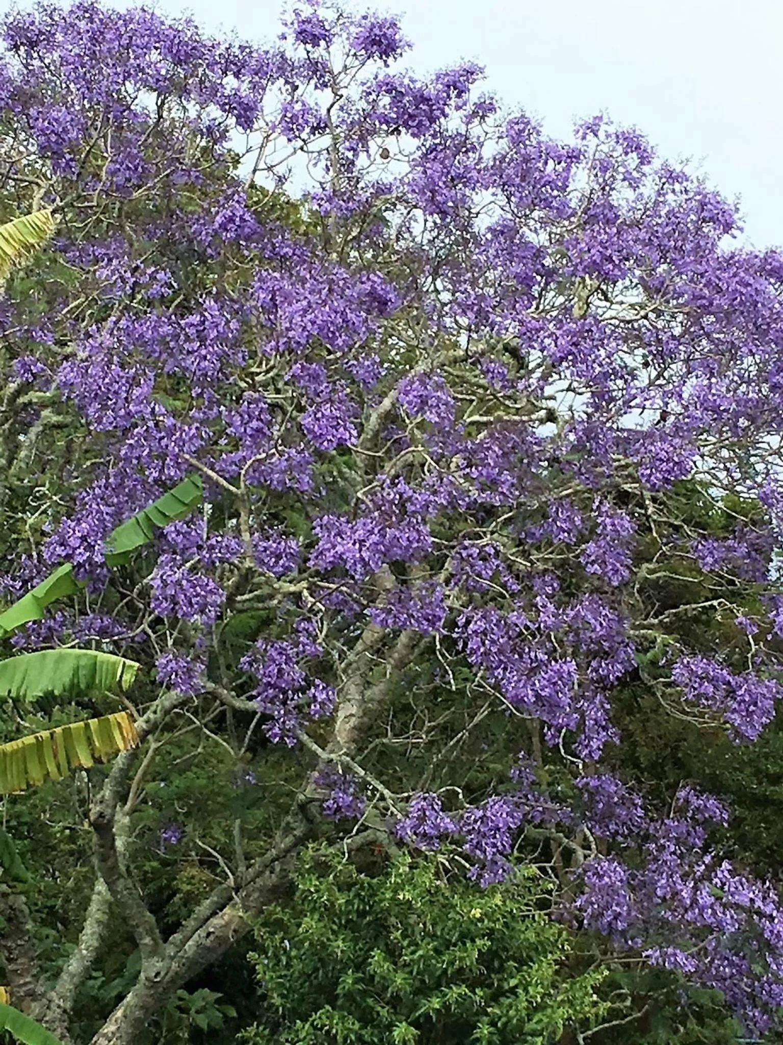 Property building in Seaport Village