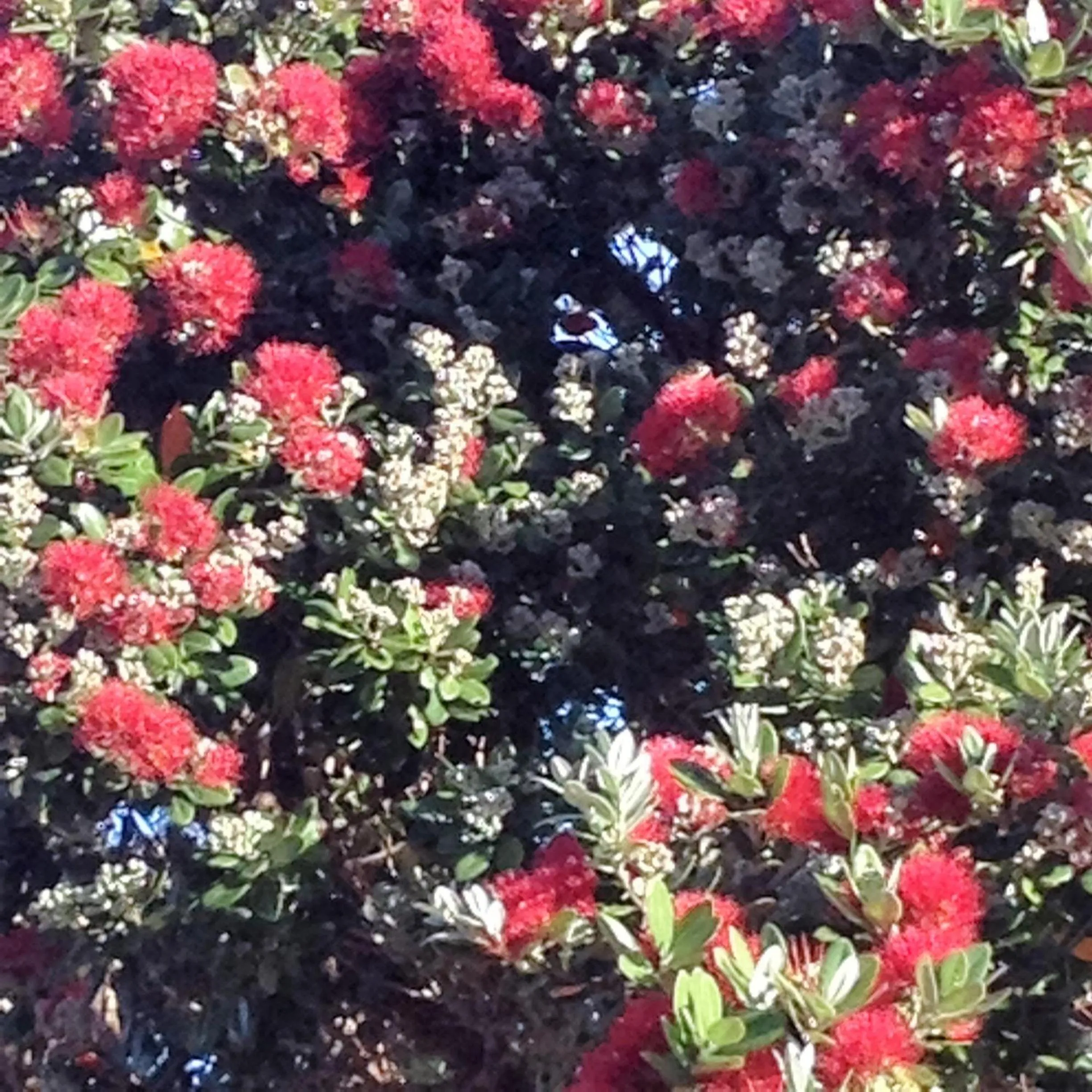 Property building in Seaport Village