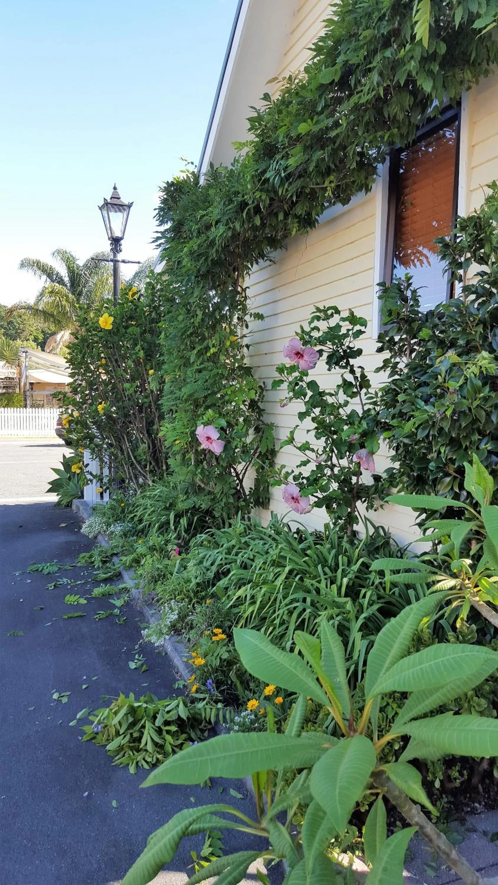 Property building in Seaport Village