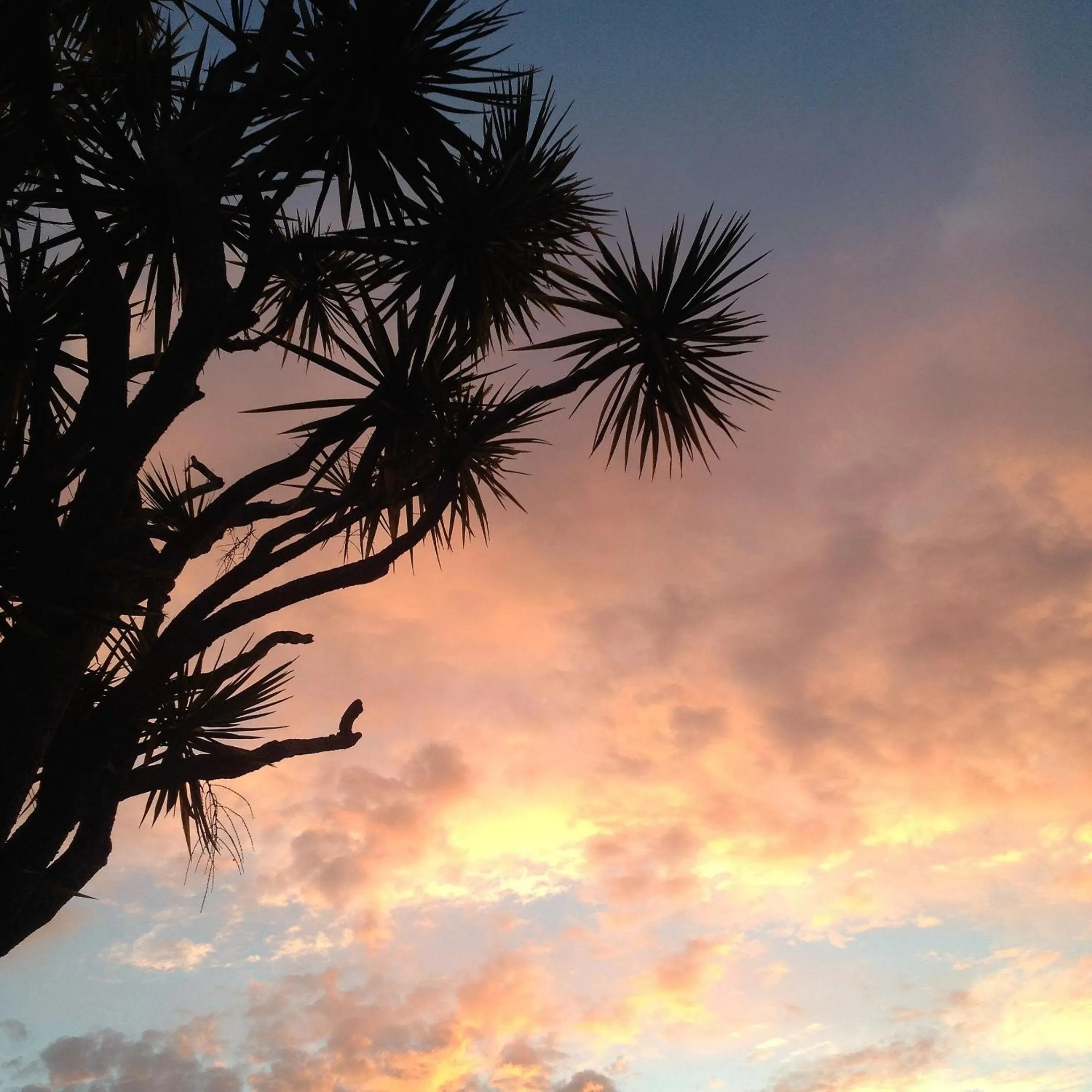 Property building in Seaport Village