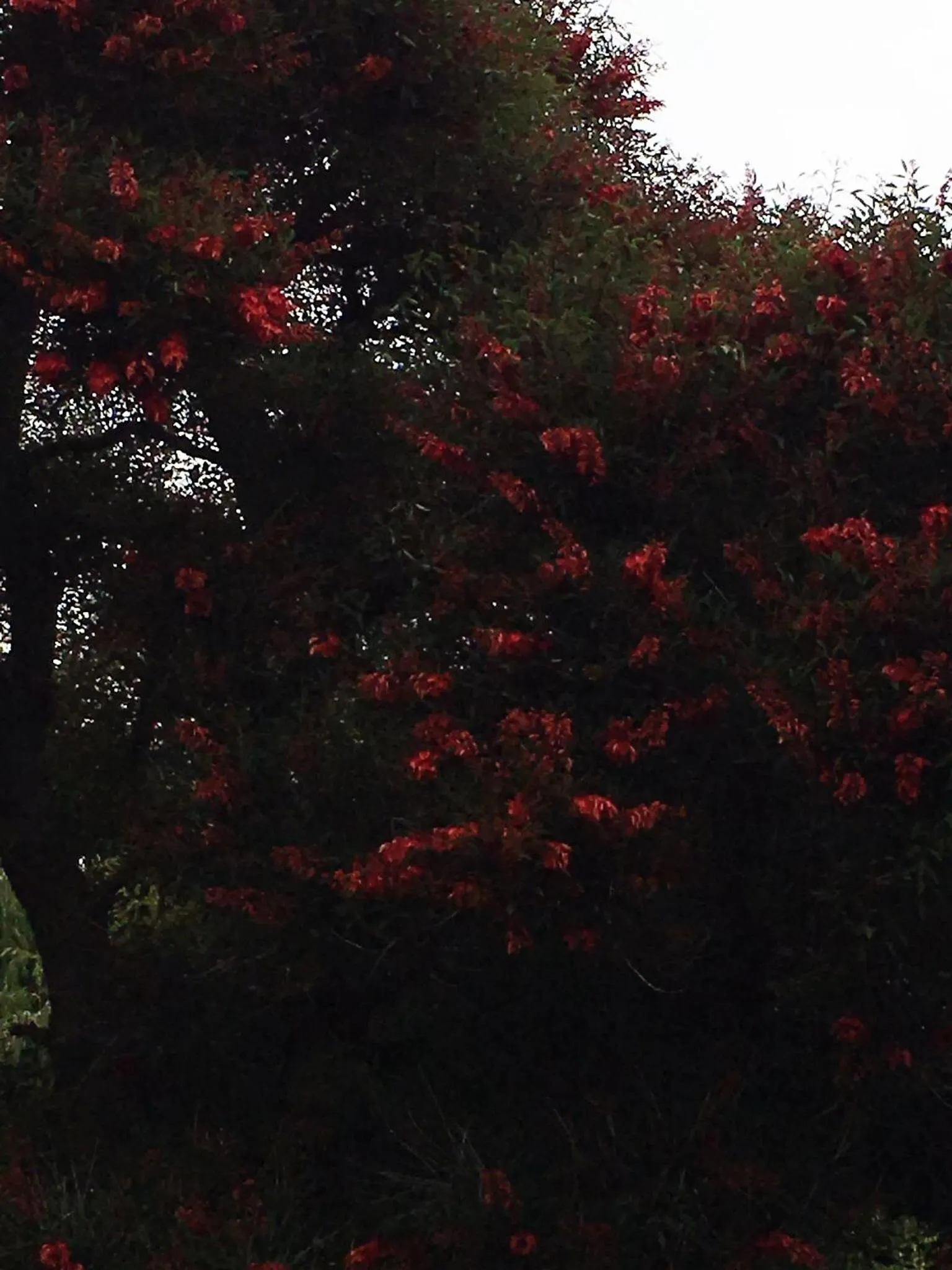 Property building in Seaport Village