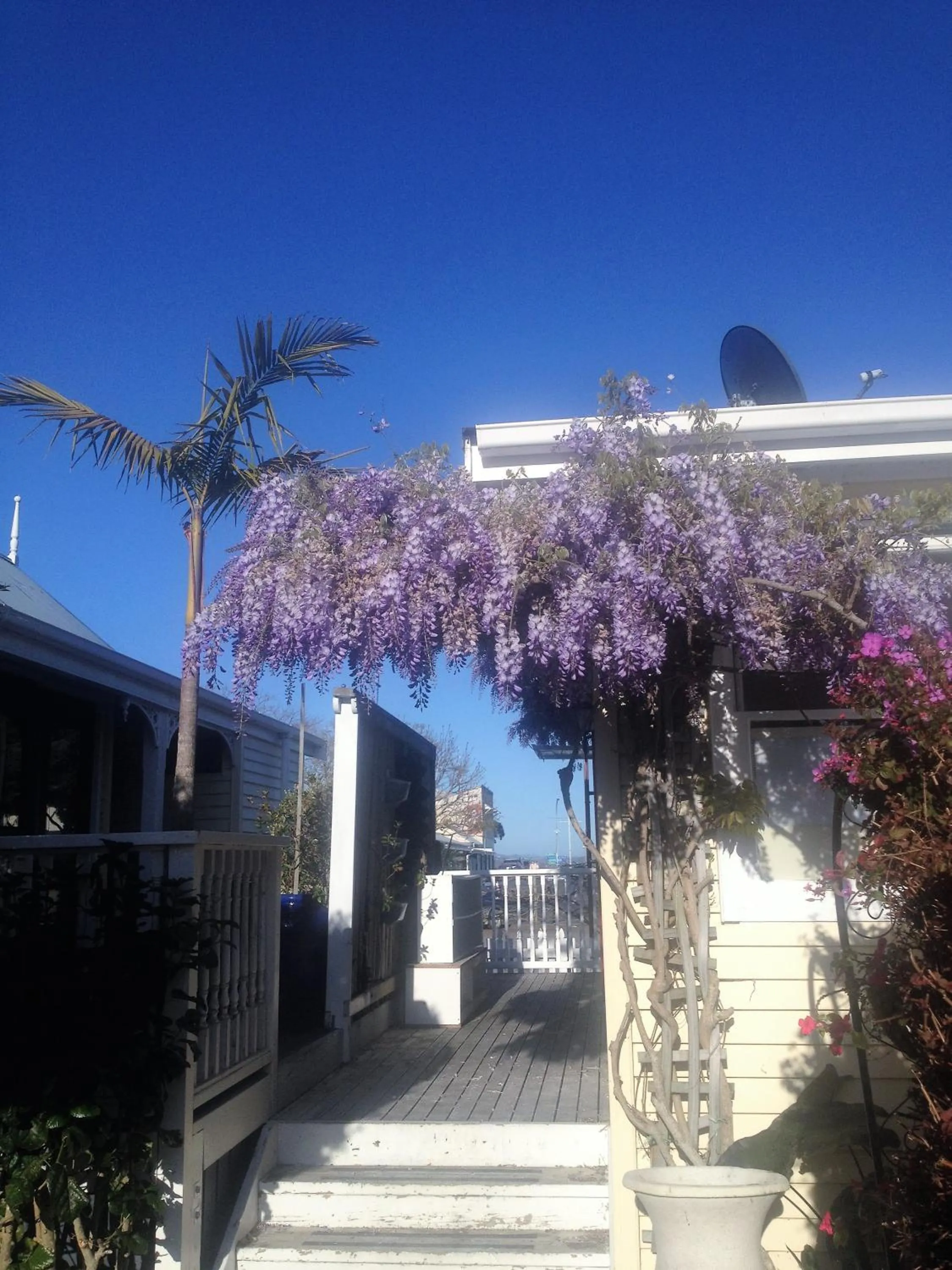Property building in Seaport Village
