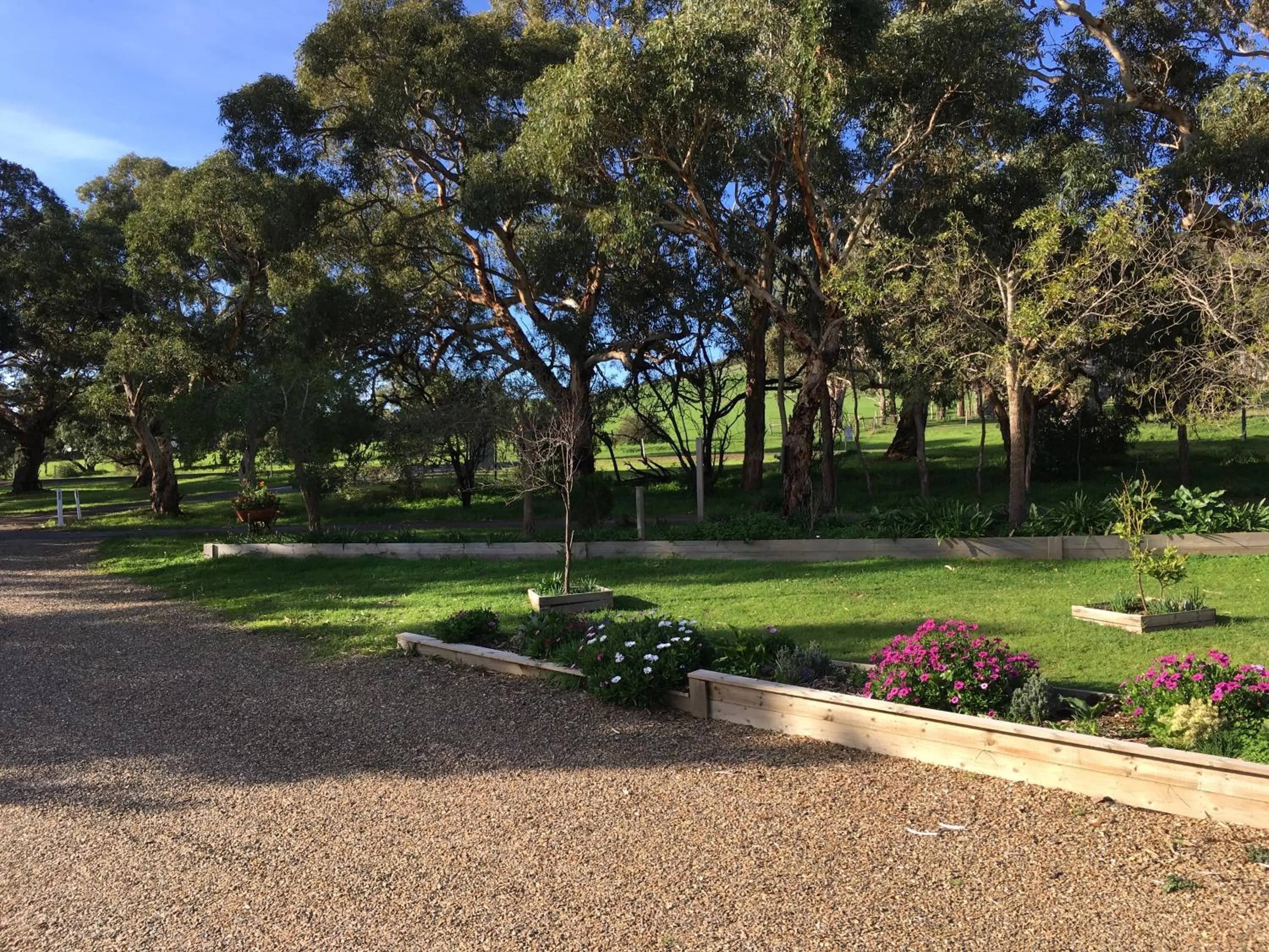 Garden in Lazy Days Cottage - Victor Harbor