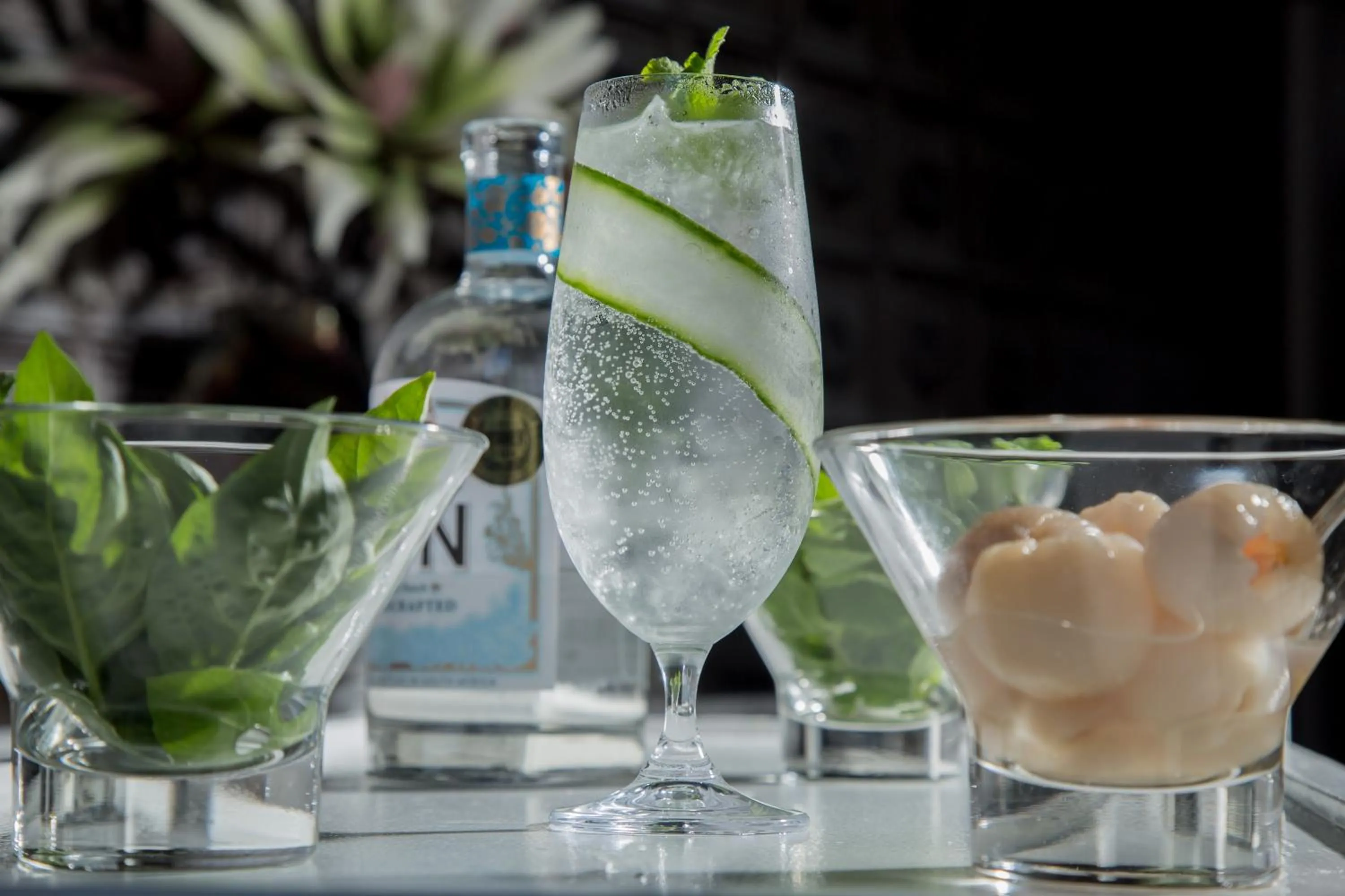 Drinks in The Manor House at Fancourt