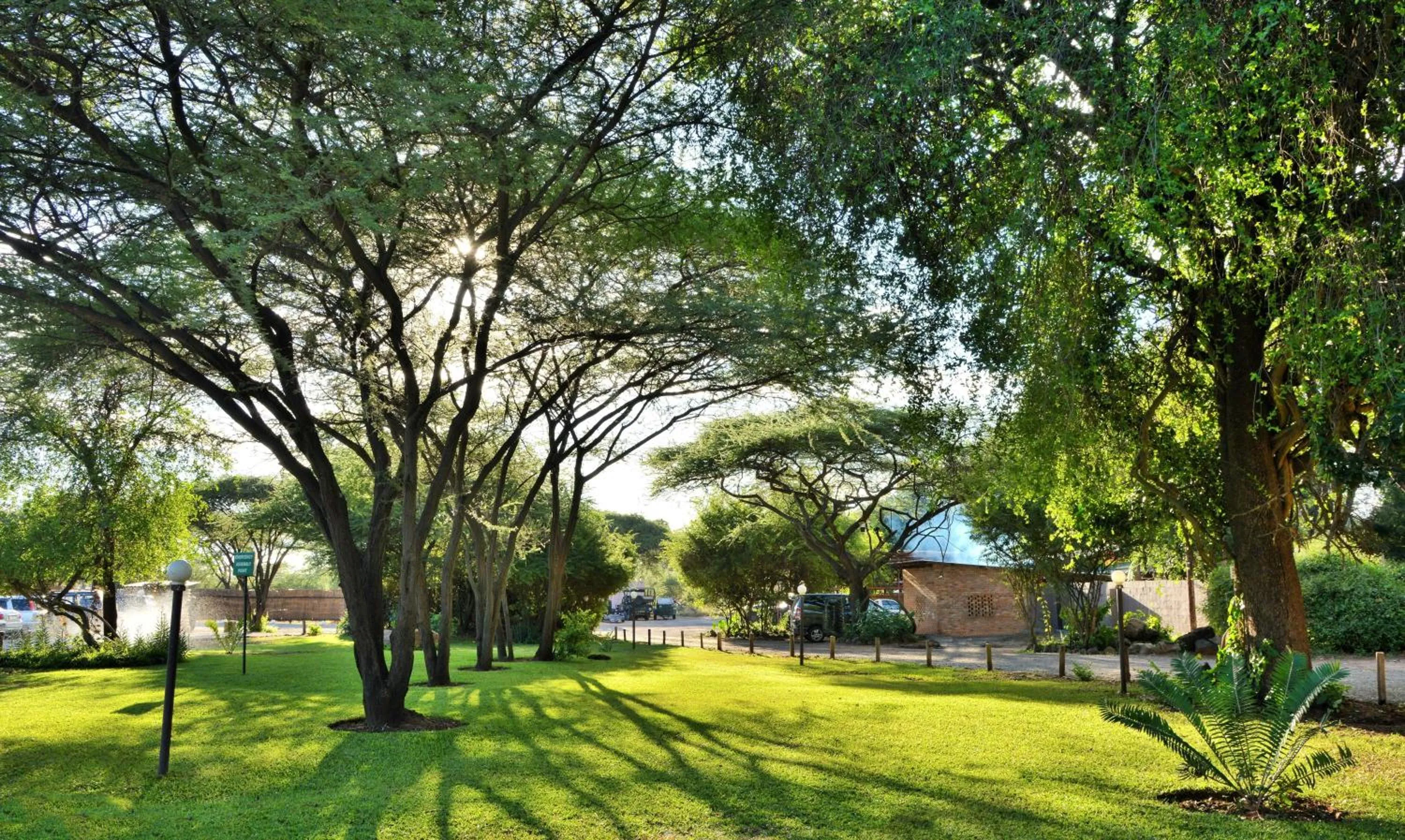 Garden in Thebe River Safaris