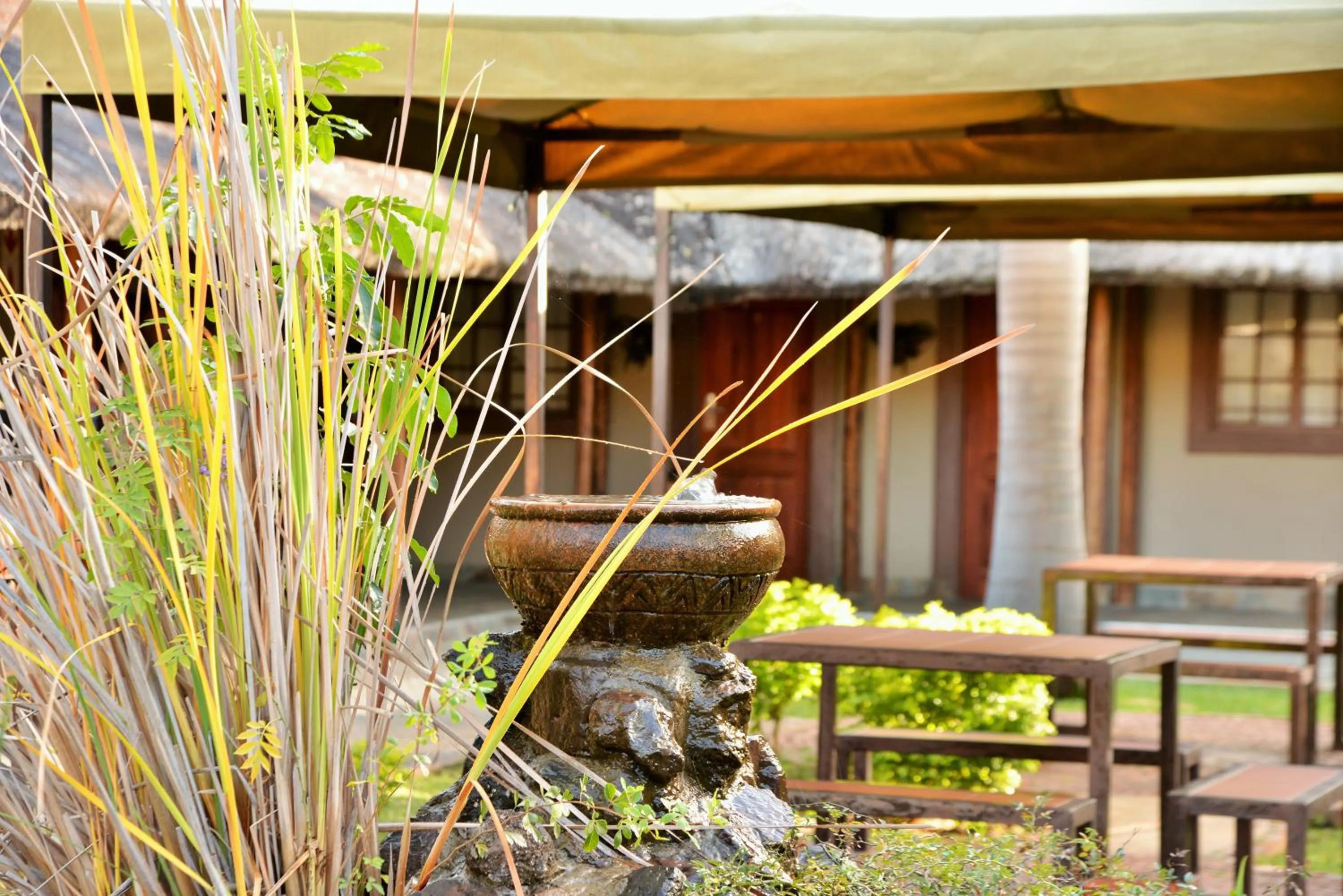 Garden in Thebe River Safaris