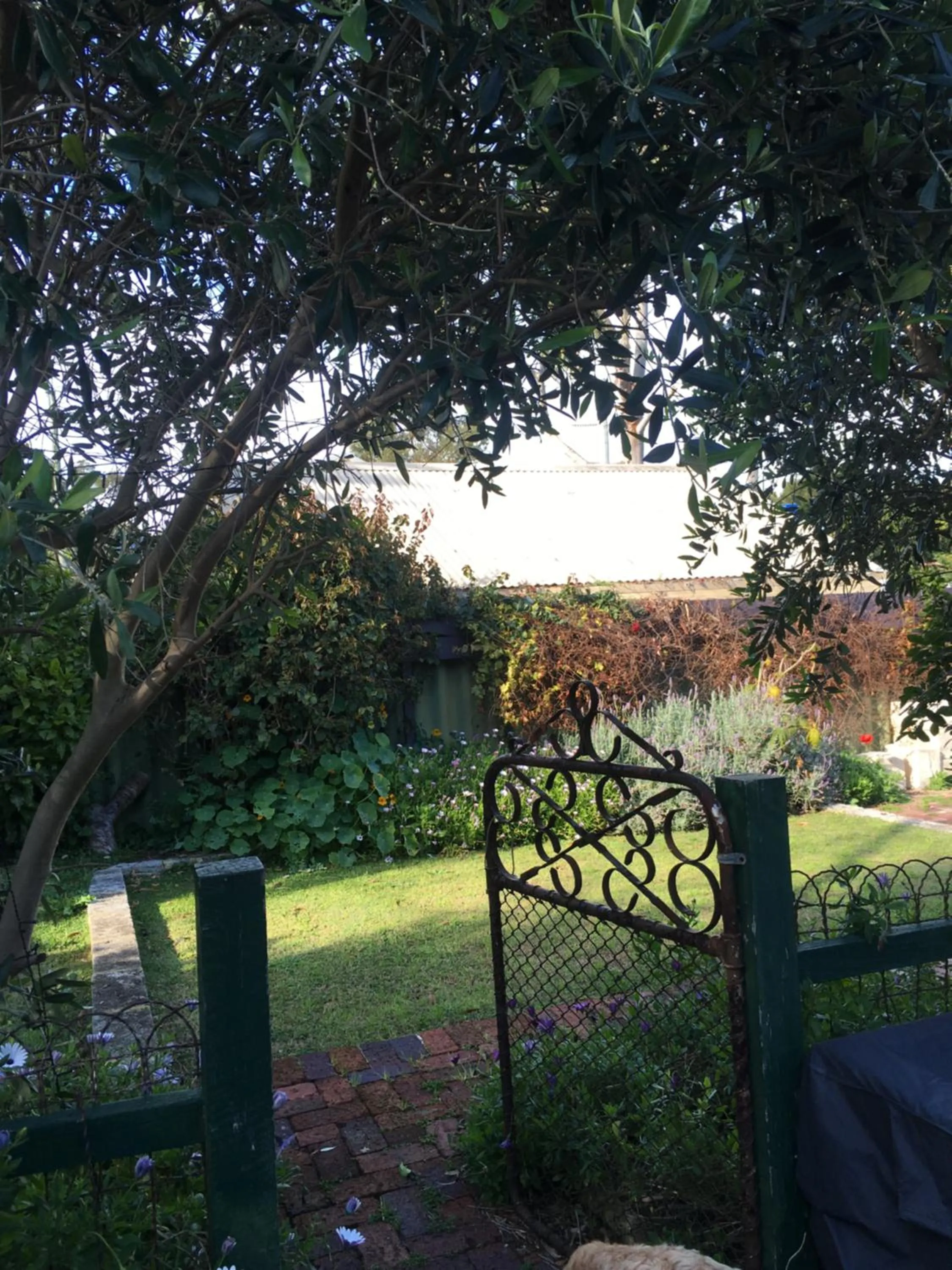 RoseMoore Bed & Breakfast