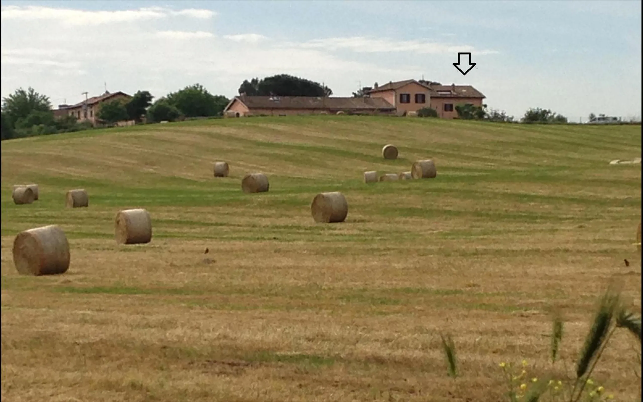 Neighbourhood in CasalFattoria