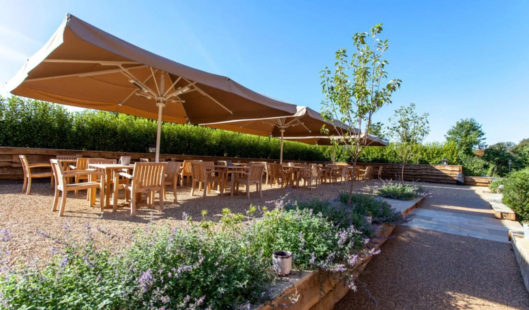 Garden in Hurley House Hotel