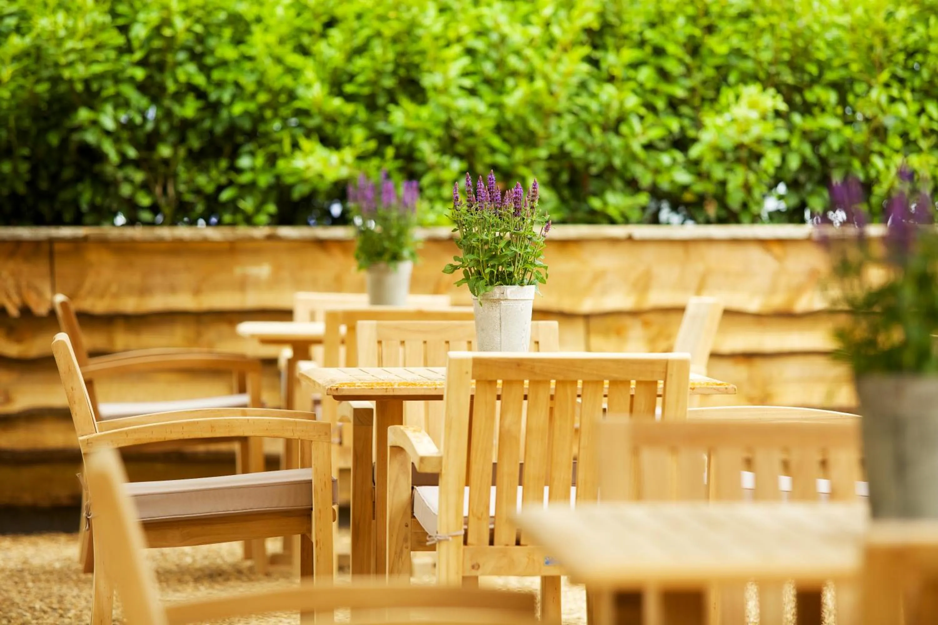 Patio in Hurley House Hotel