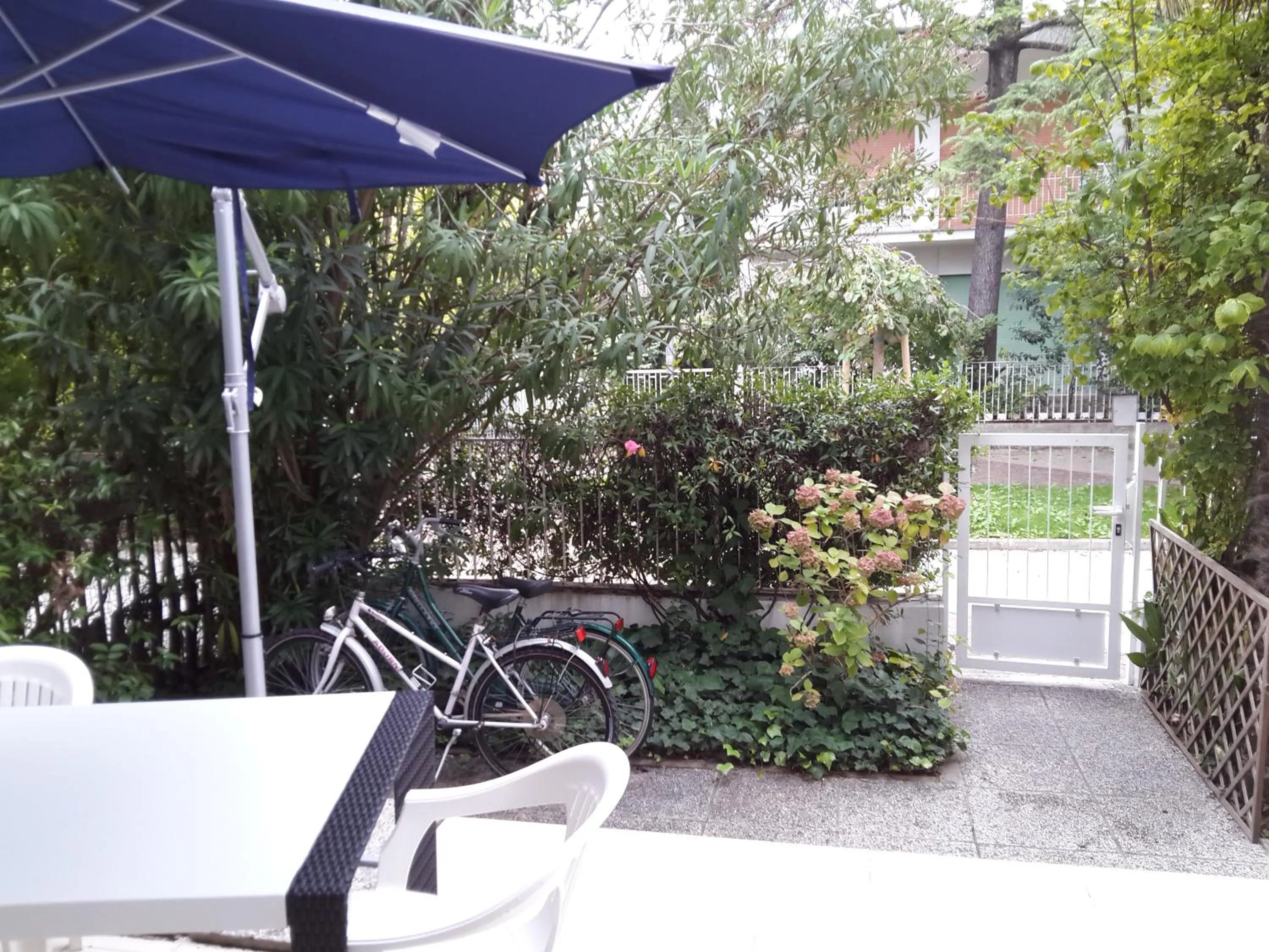 Garden in Villa Flora