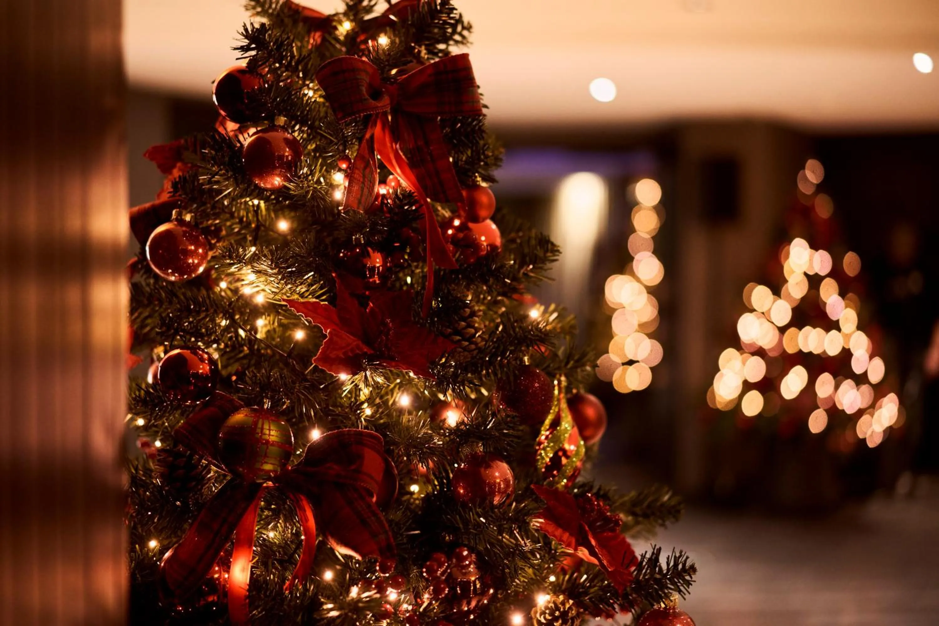 Domaine Des Hautes Fagnes