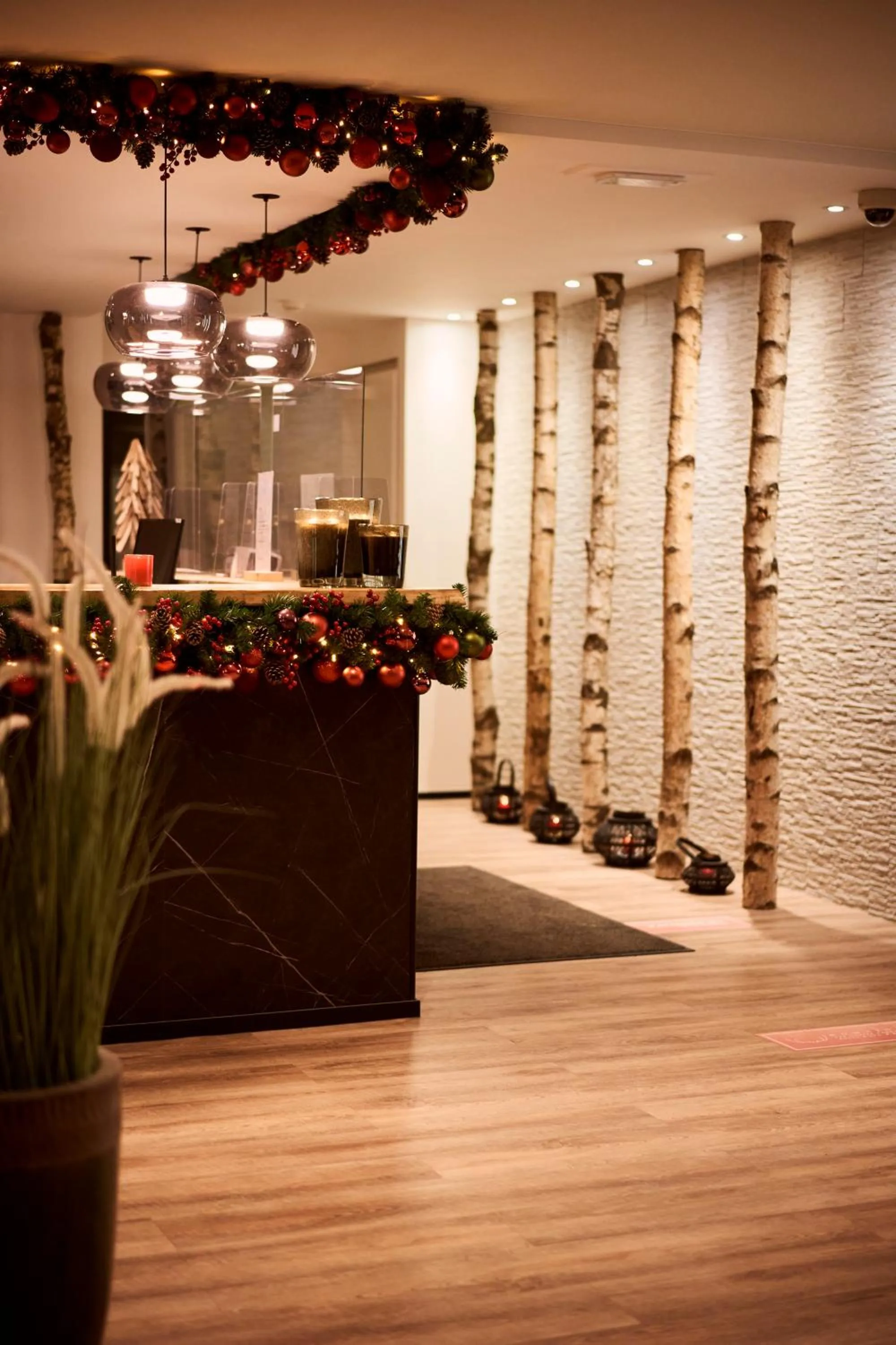 Domaine Des Hautes Fagnes