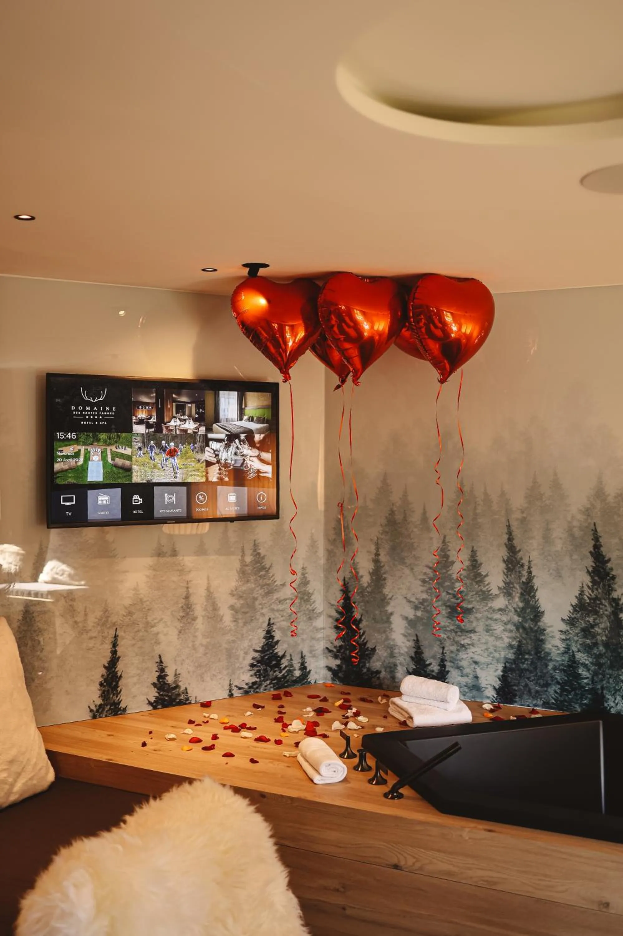 TV and multimedia in Domaine Des Hautes Fagnes